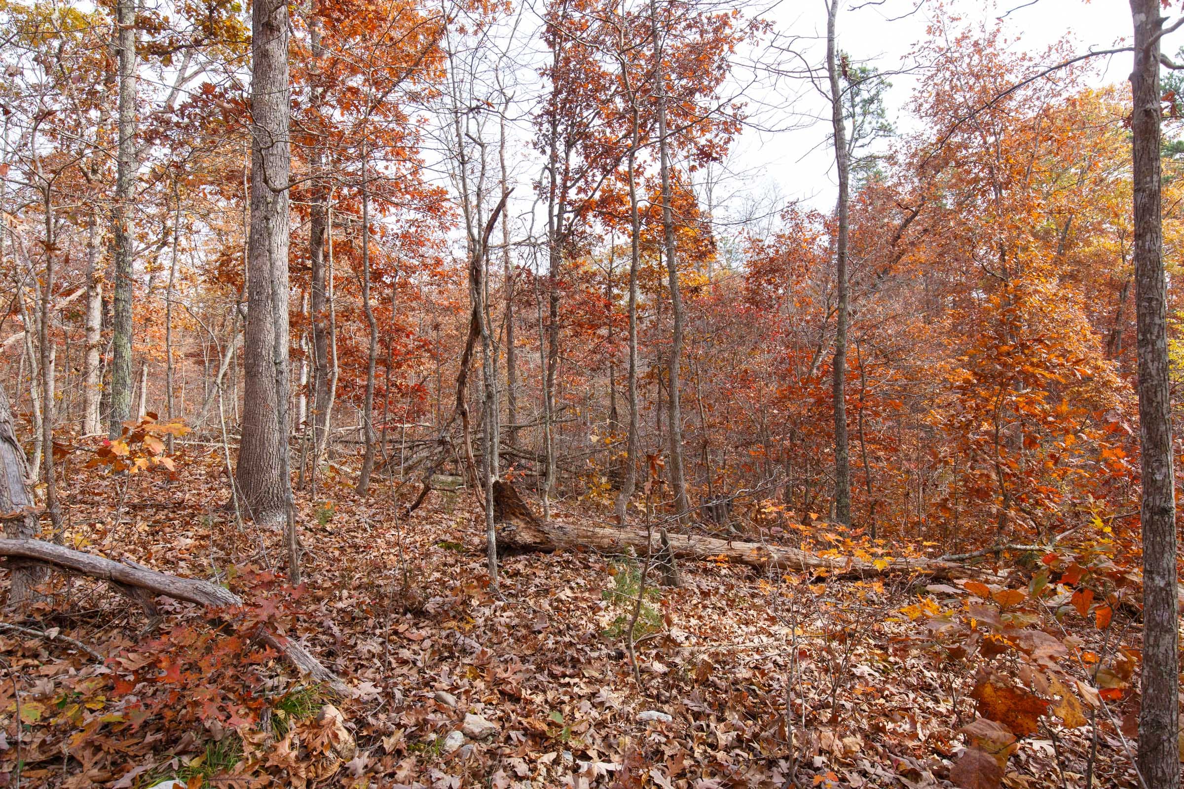 Hawkcrest Tract 46 photo 4
