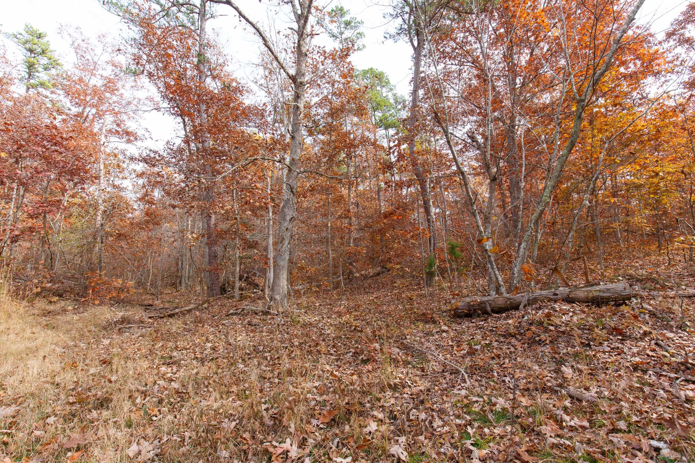 Hawkcrest Tract 46 photo 6