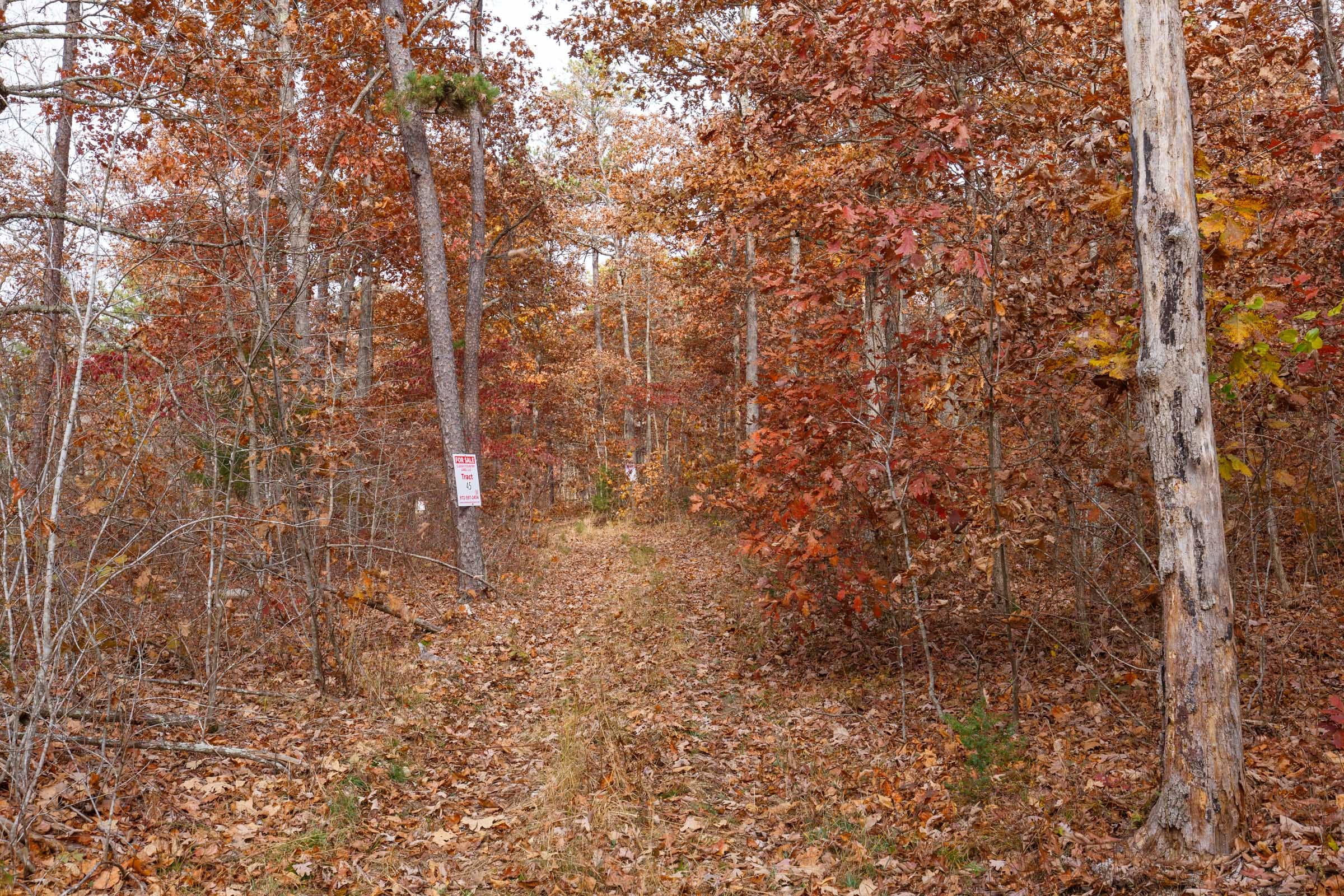 Hawkcrest Tract 46 photo 1