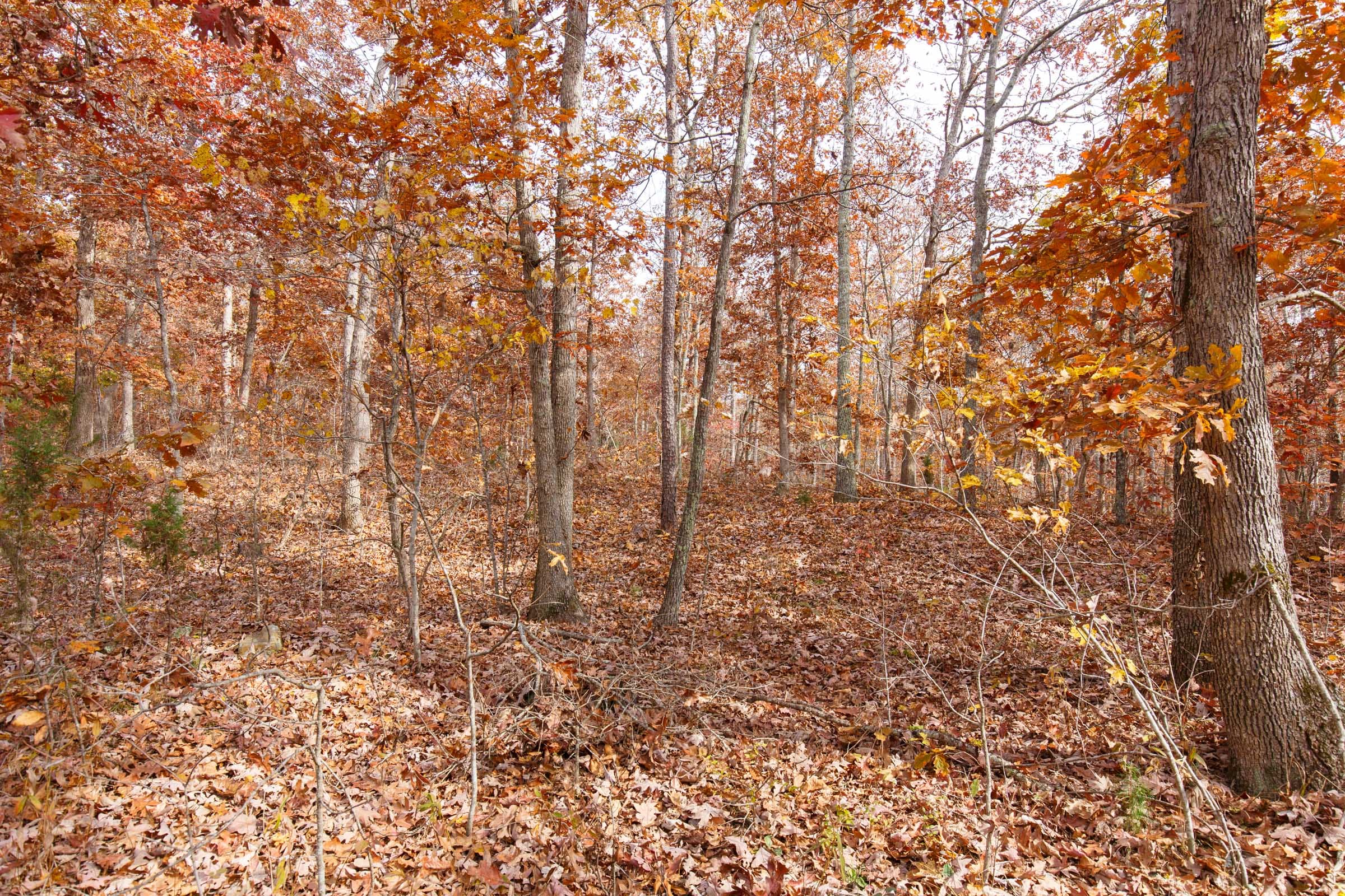 Hawkcrest Tract 46 photo 9