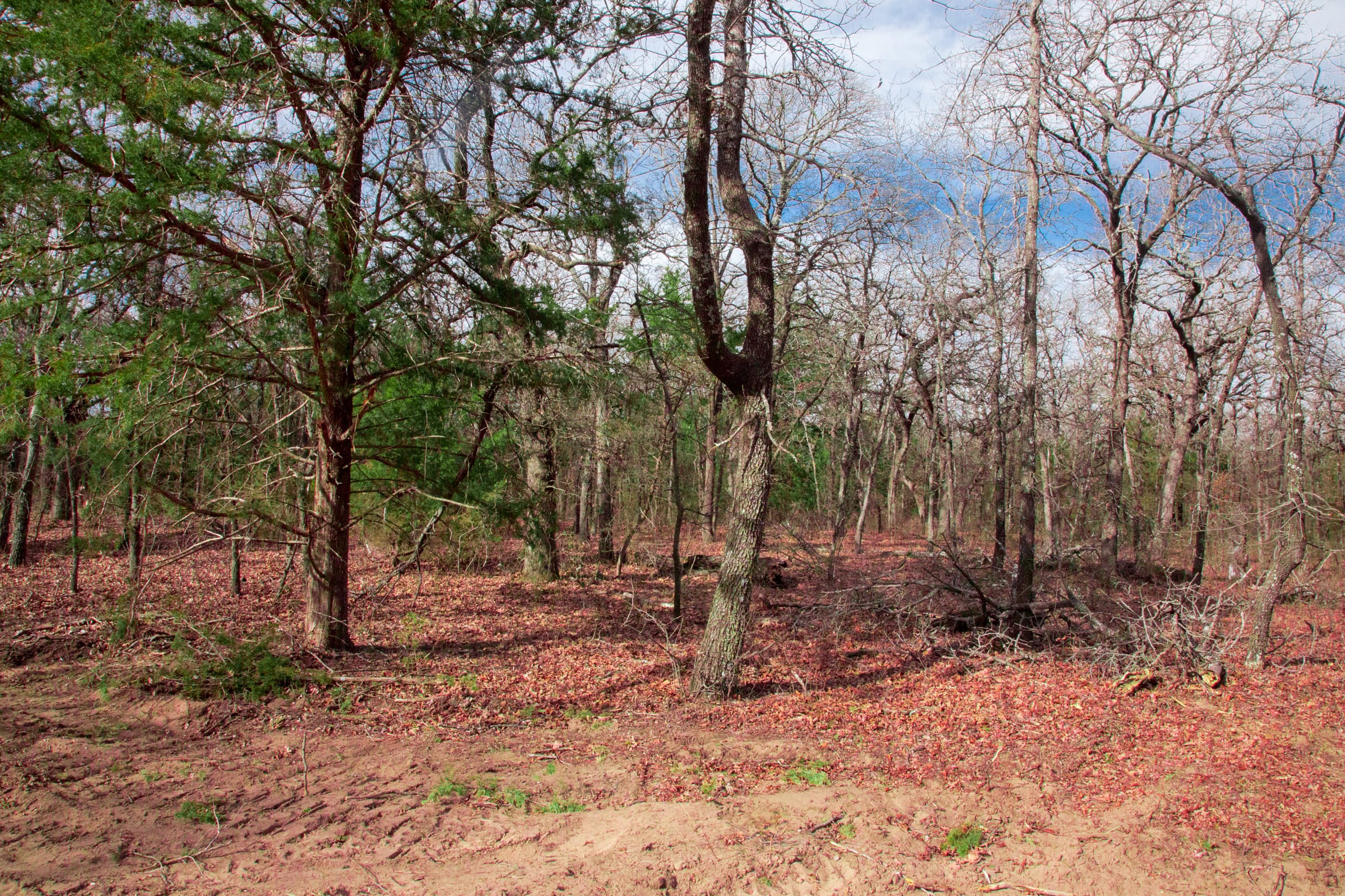 Legacy Ranch Tract 18 photo 6