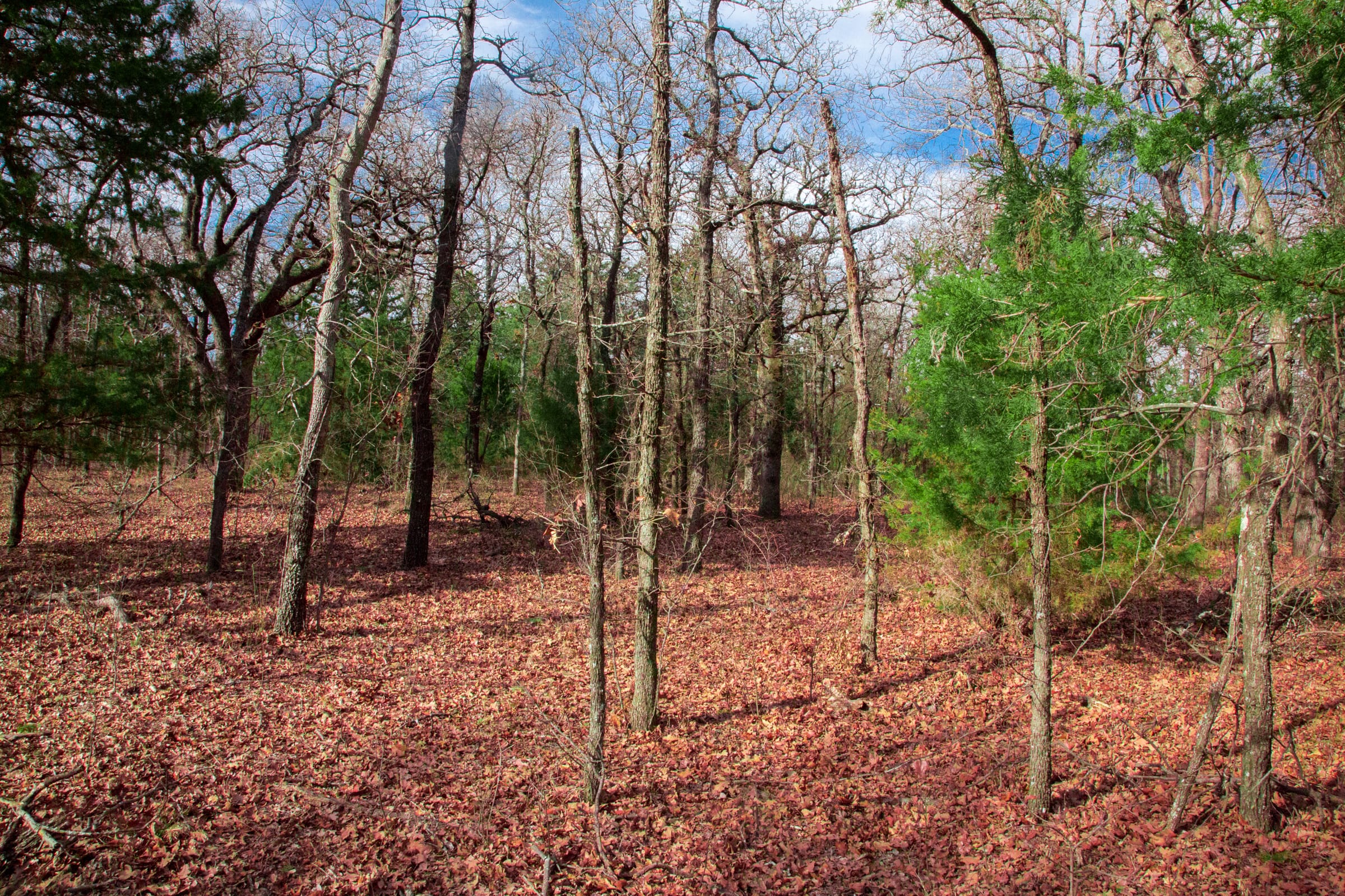 Legacy Ranch Tract 18 photo 7
