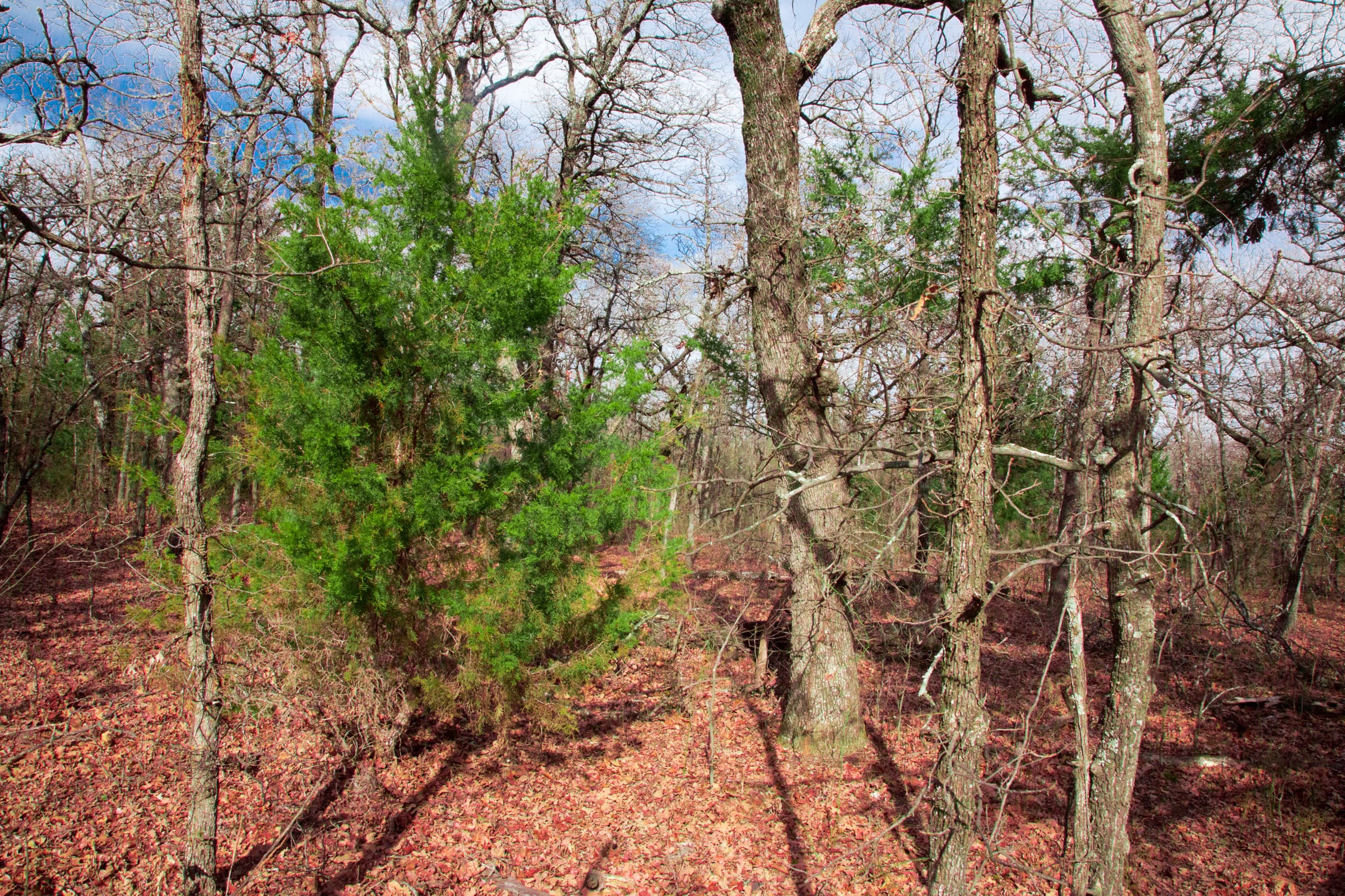 Legacy Ranch Tract 18 photo 8