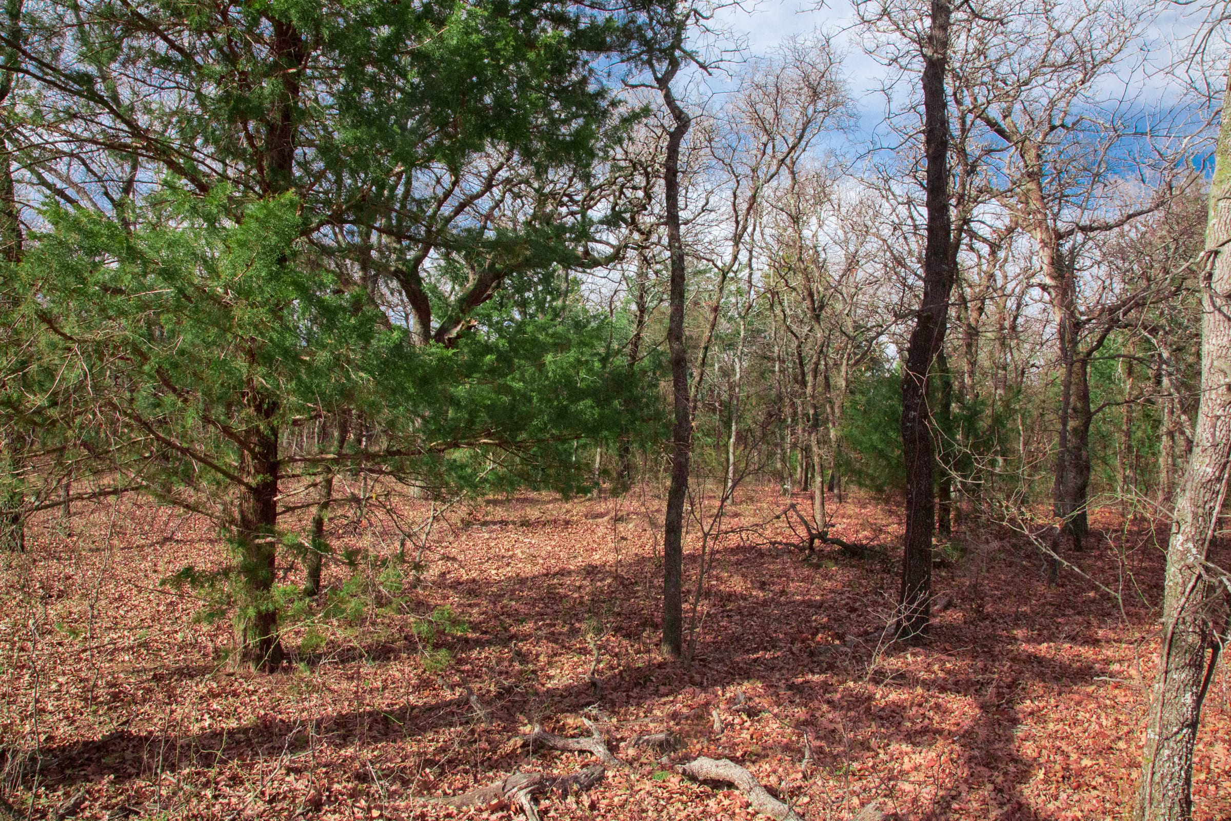 Legacy Ranch Tract 18 photo 3