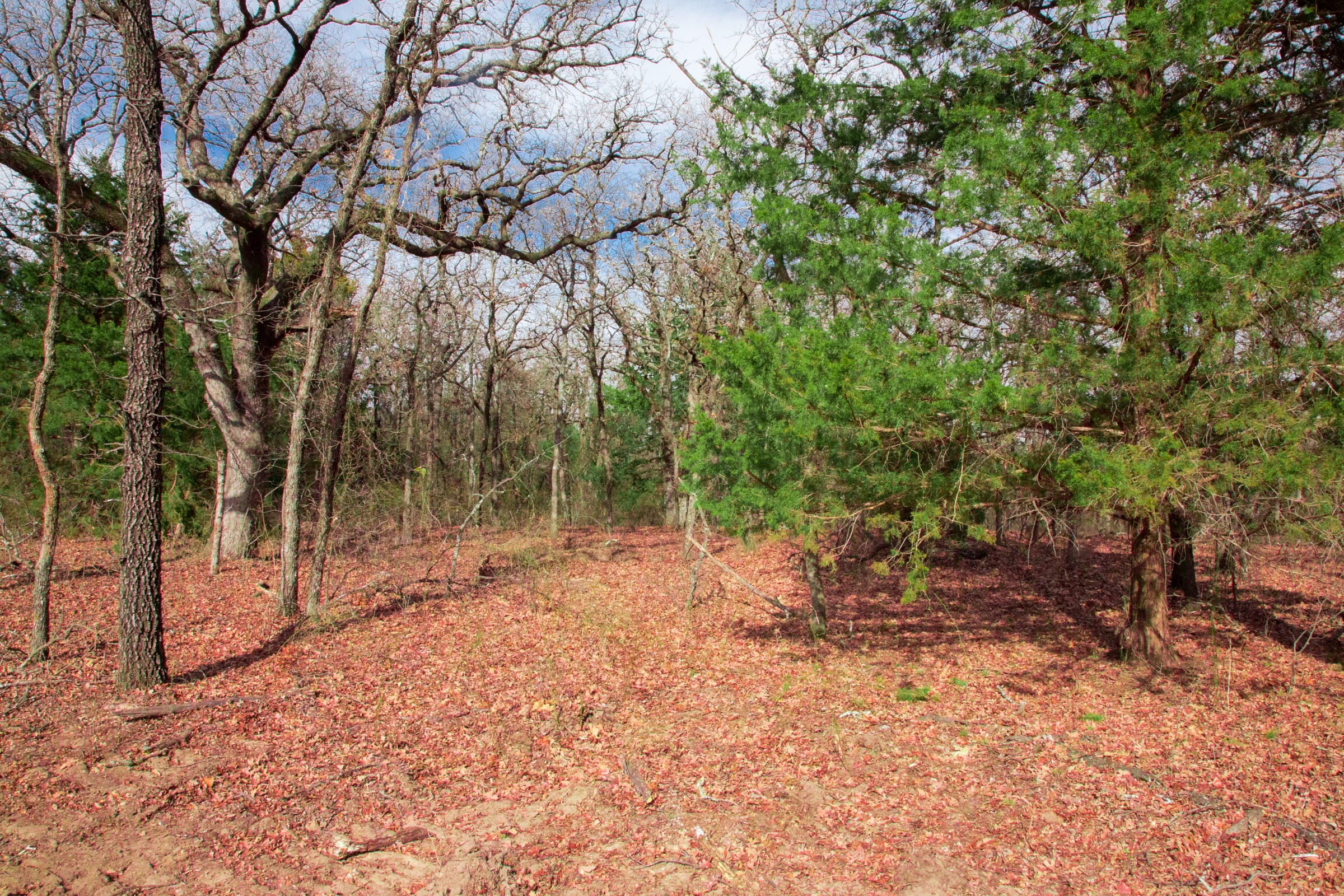 Legacy Ranch Tract 18 photo 9