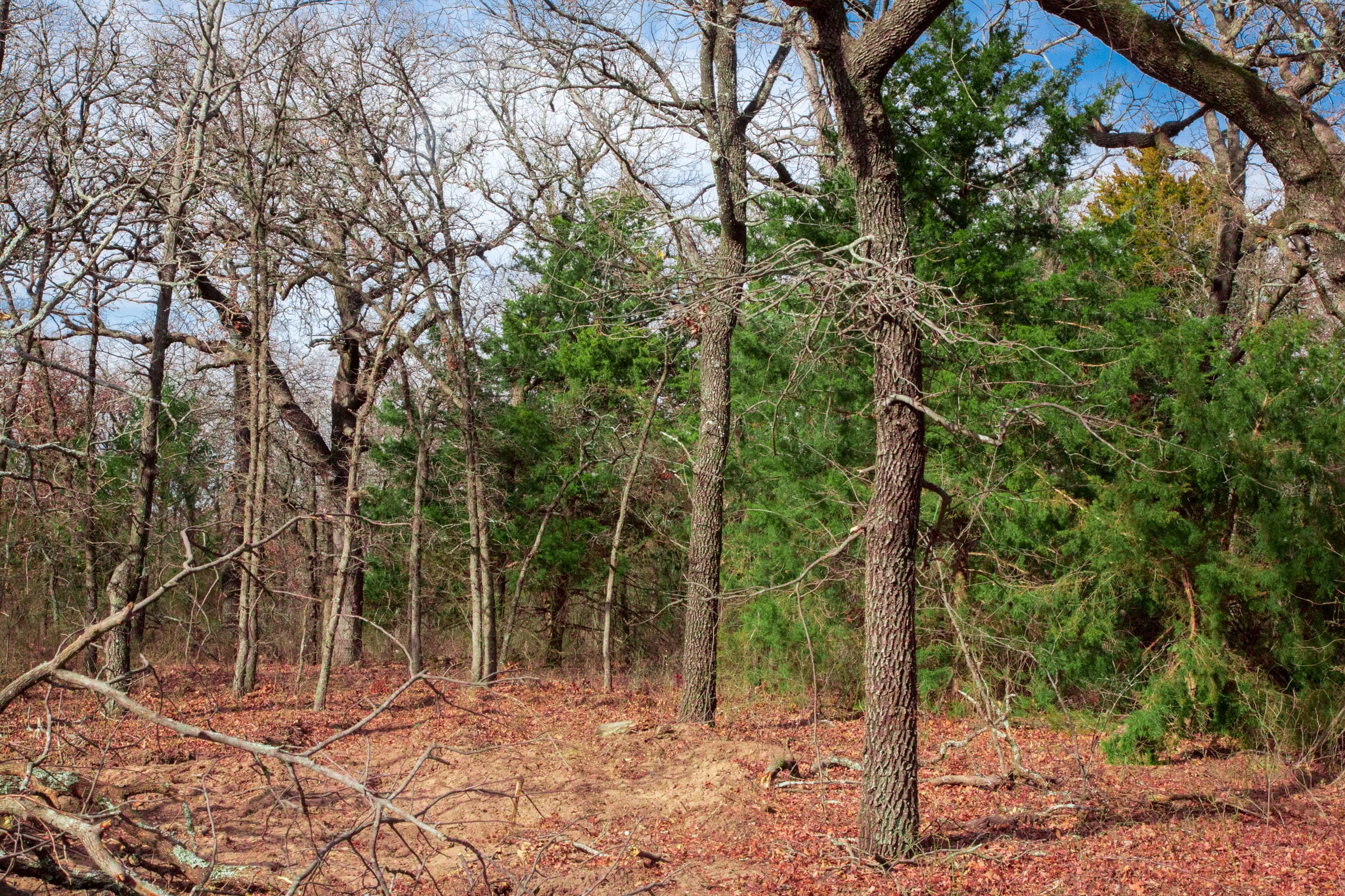 Legacy Ranch Tract 18 photo 10