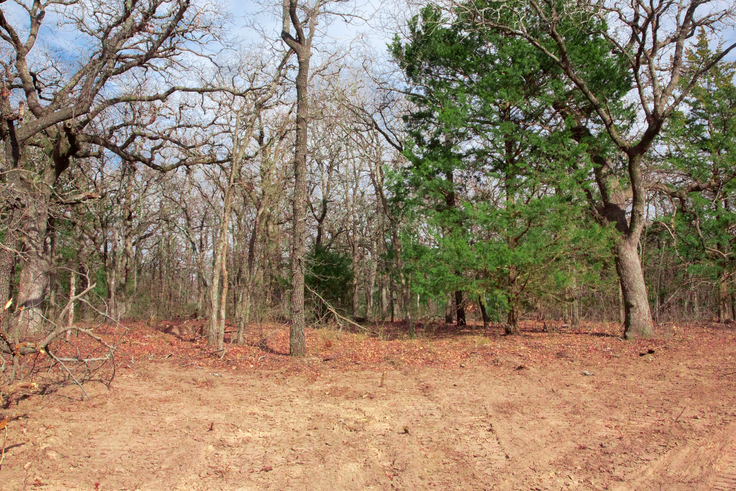 Legacy Ranch Tract 18 photo 11