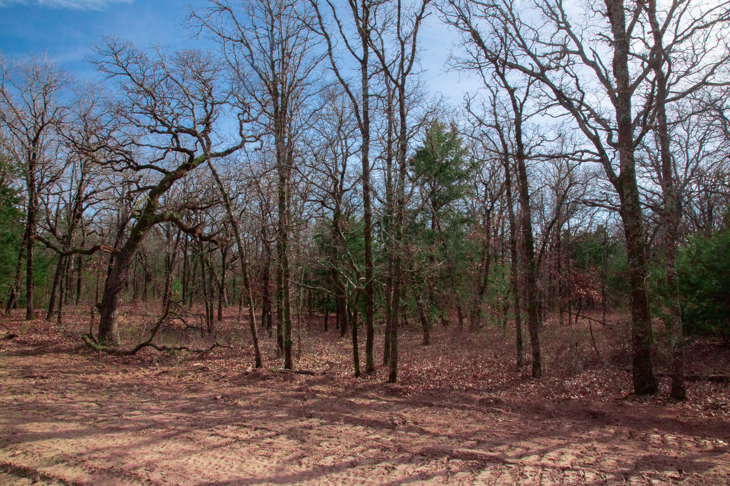 Legacy Ranch Tract 18 photo 12