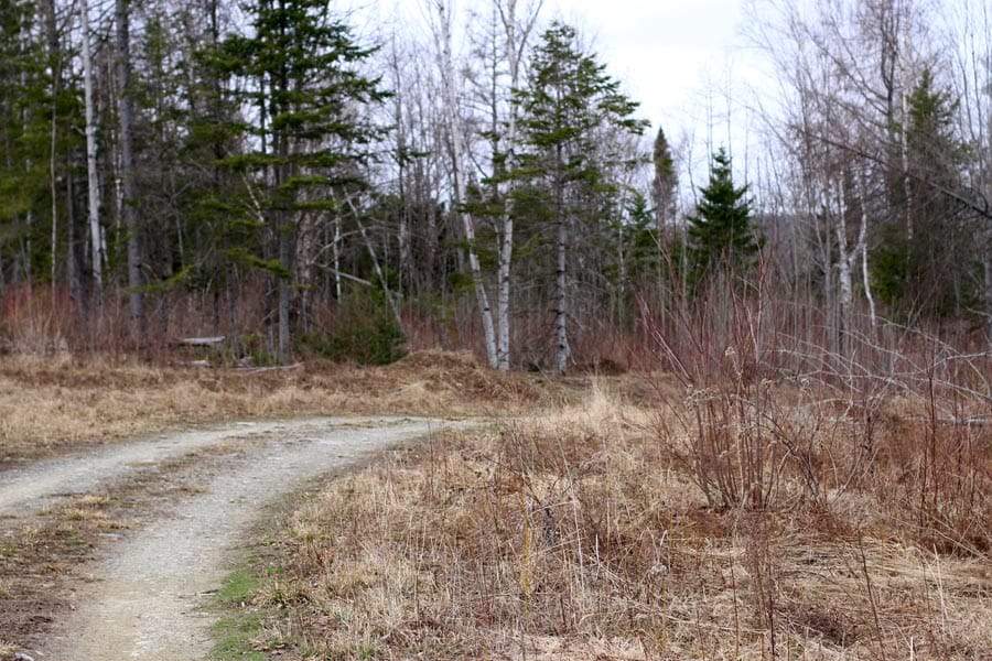 Sunrise Estates Tract 9 photo 3