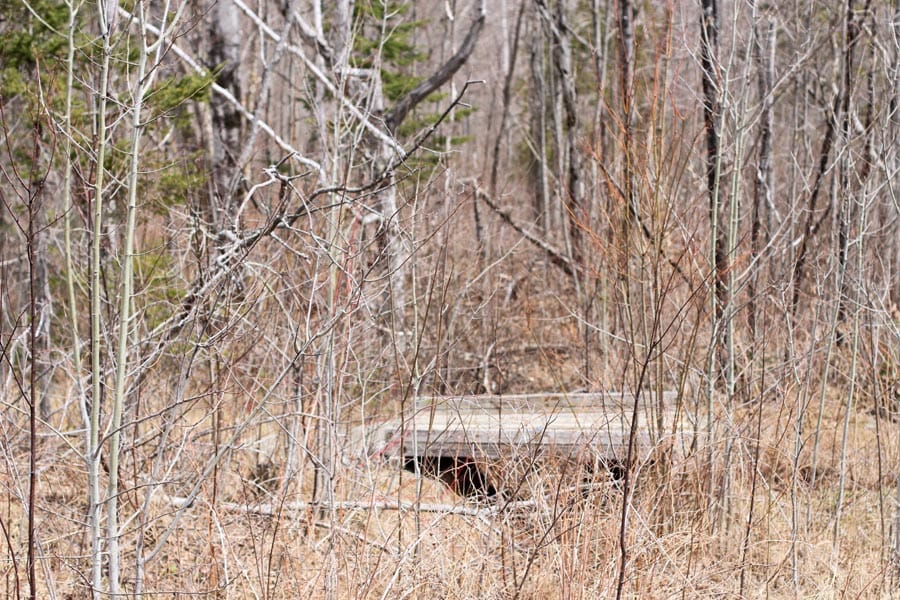 Sunrise Estates Tract 9 photo 8