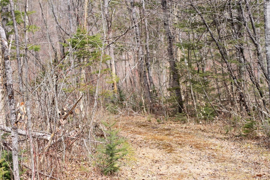 Sunrise Estates Tract 9 photo 10