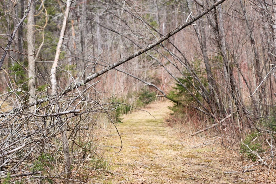 Sunrise Estates Tract 9 photo 11