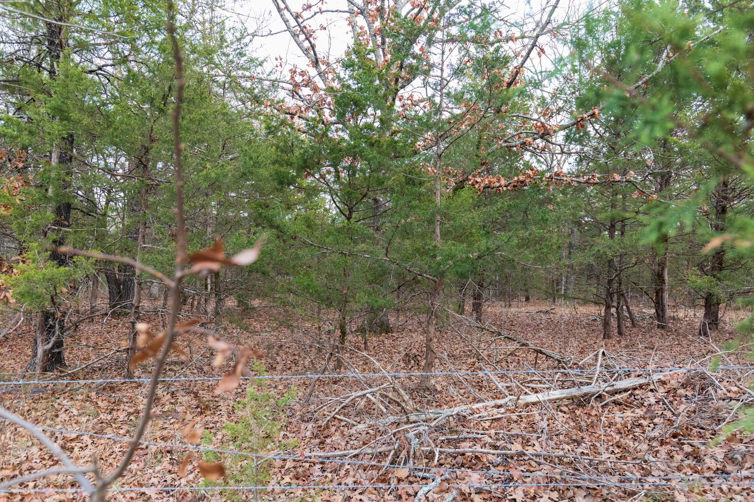 Crossroads Tract 6 photo 4