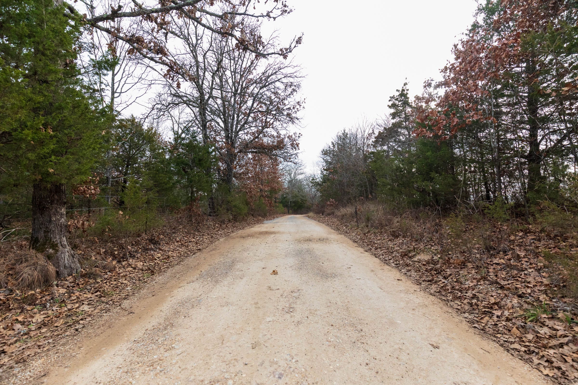 Crossroads Tract 6 photo 6
