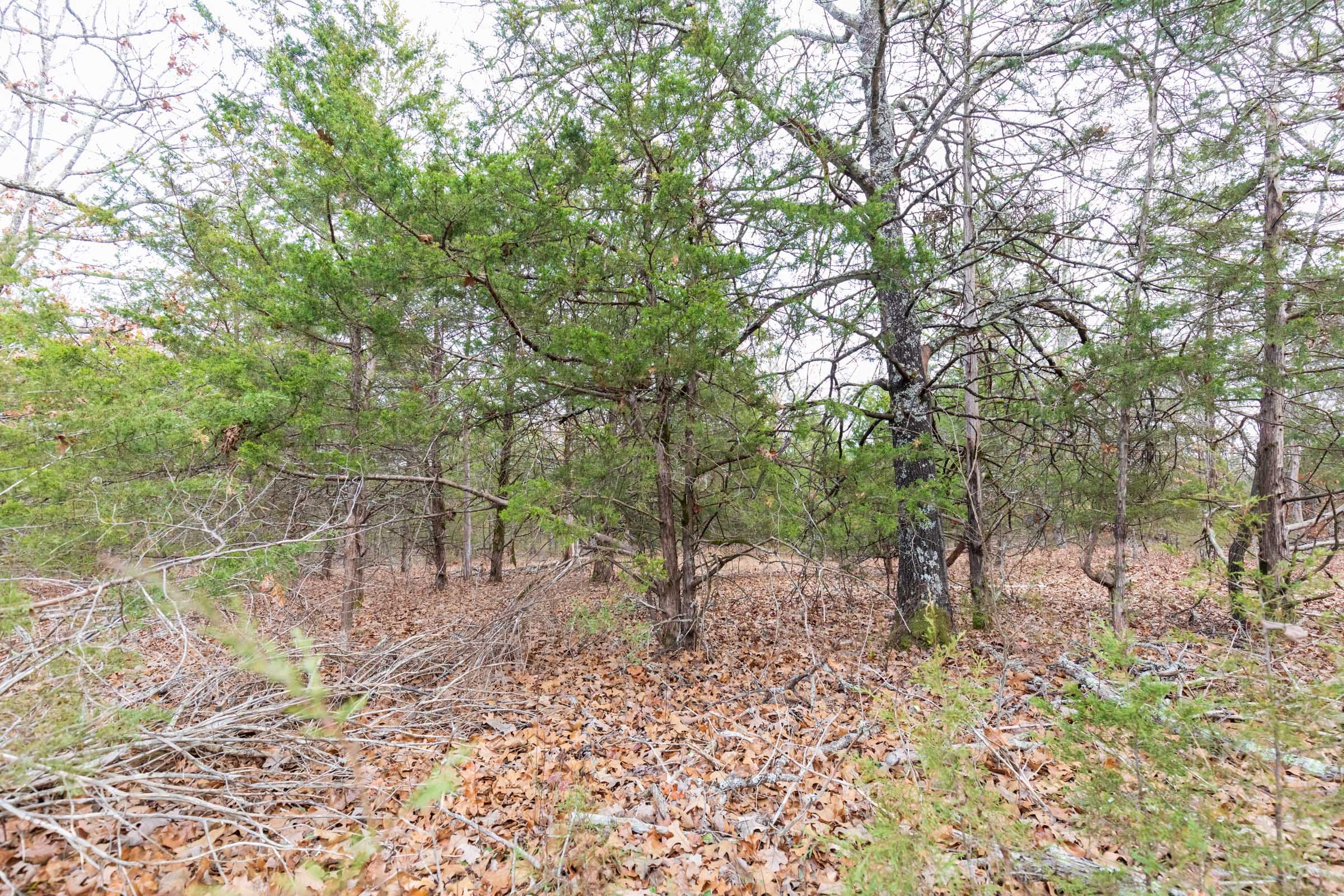 Crossroads Tract 6 photo 5