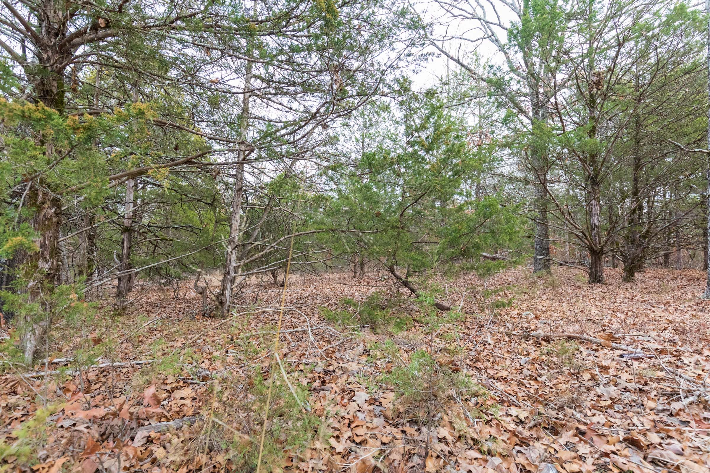Crossroads Tract 6 photo 7
