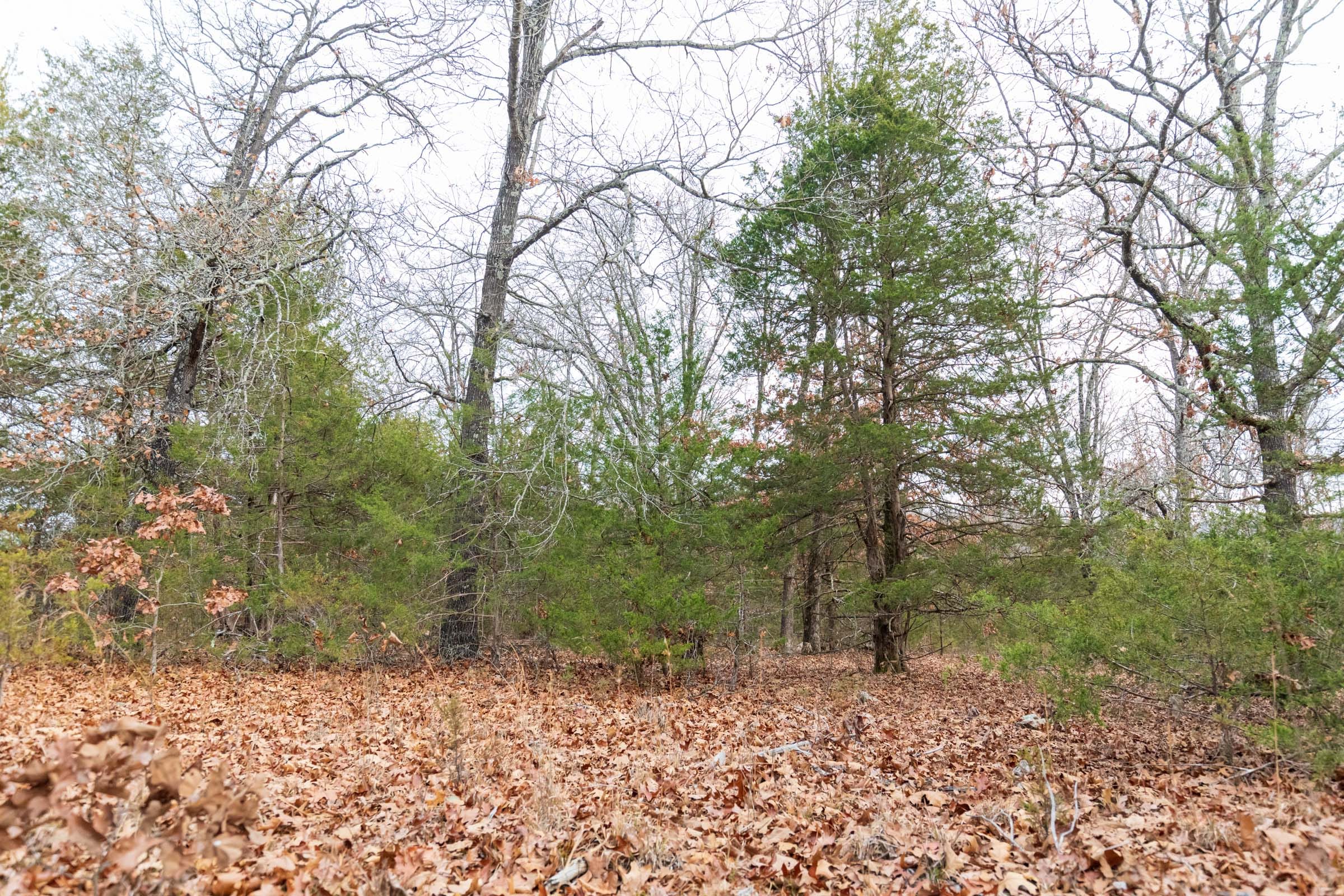 Crossroads Tract 6 photo 8