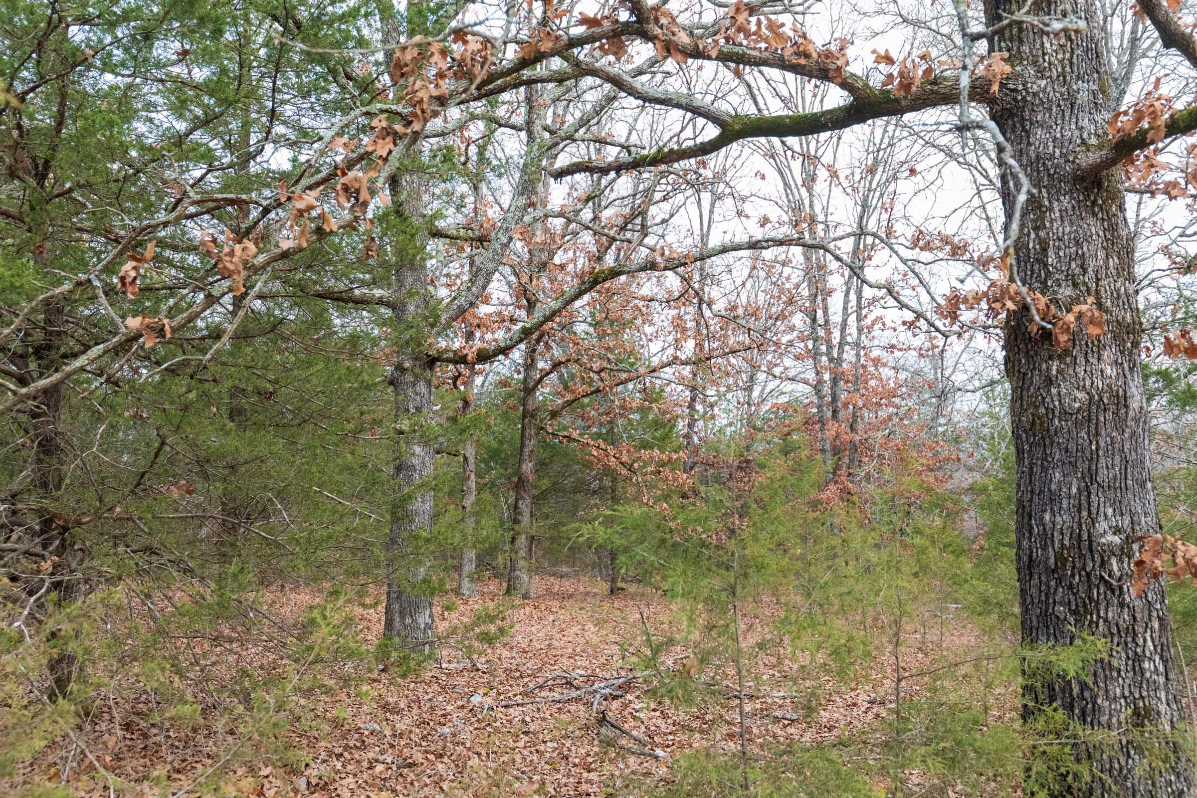 Crossroads Tract 6 photo 9