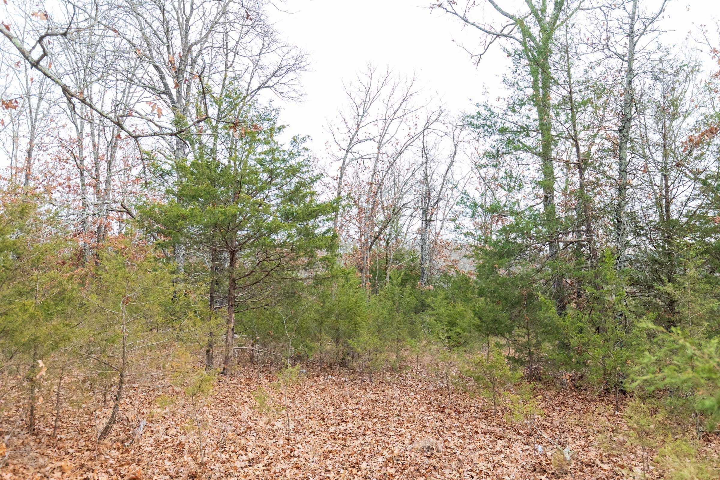 Crossroads Tract 6 photo 10