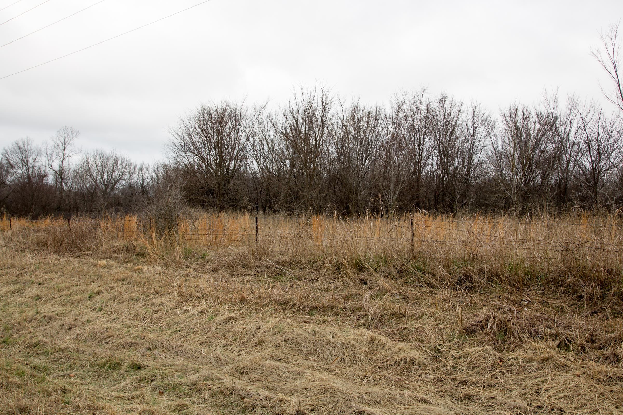Canadian Plains Tract 1 photo 2