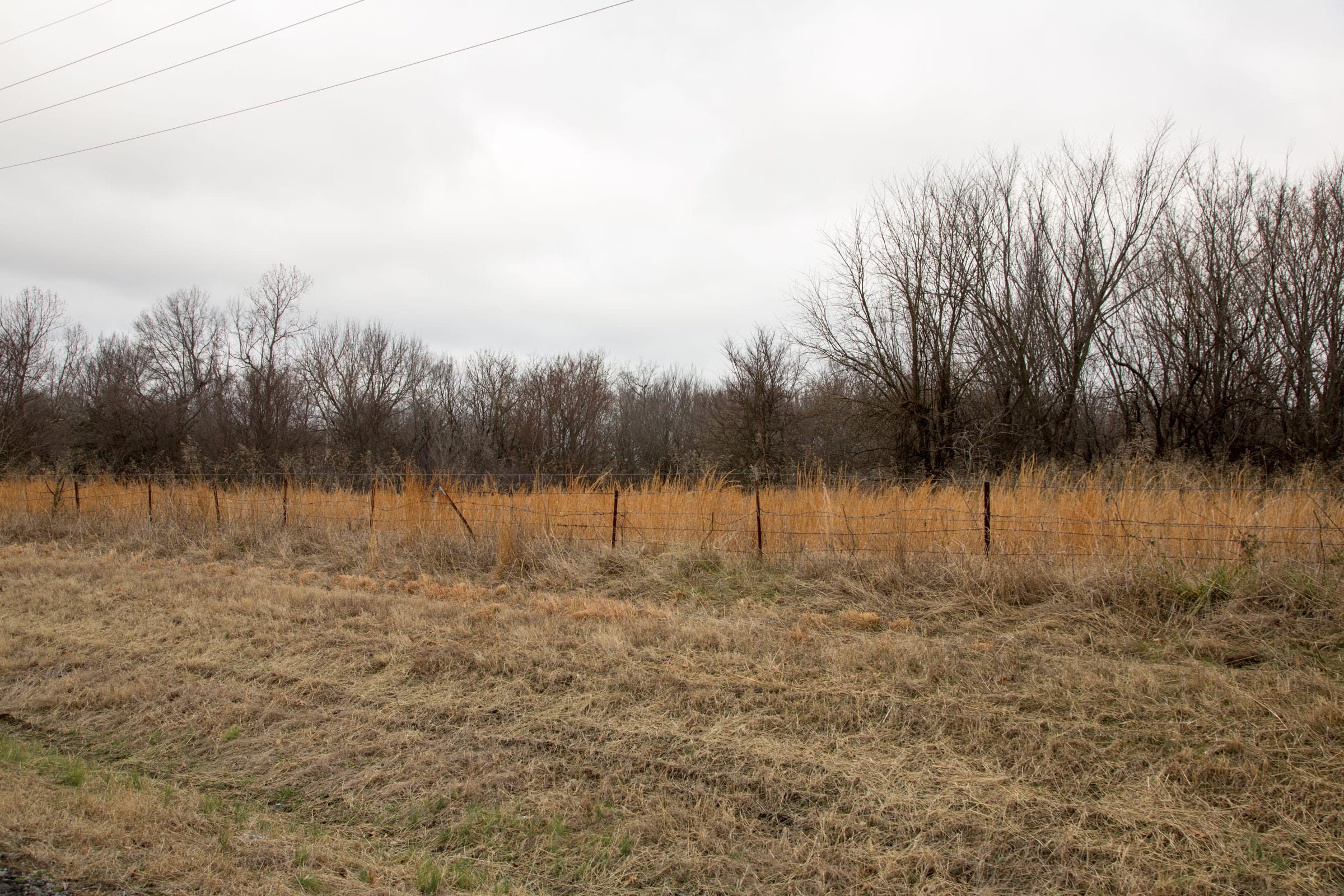 Canadian Plains Tract 1 photo 3