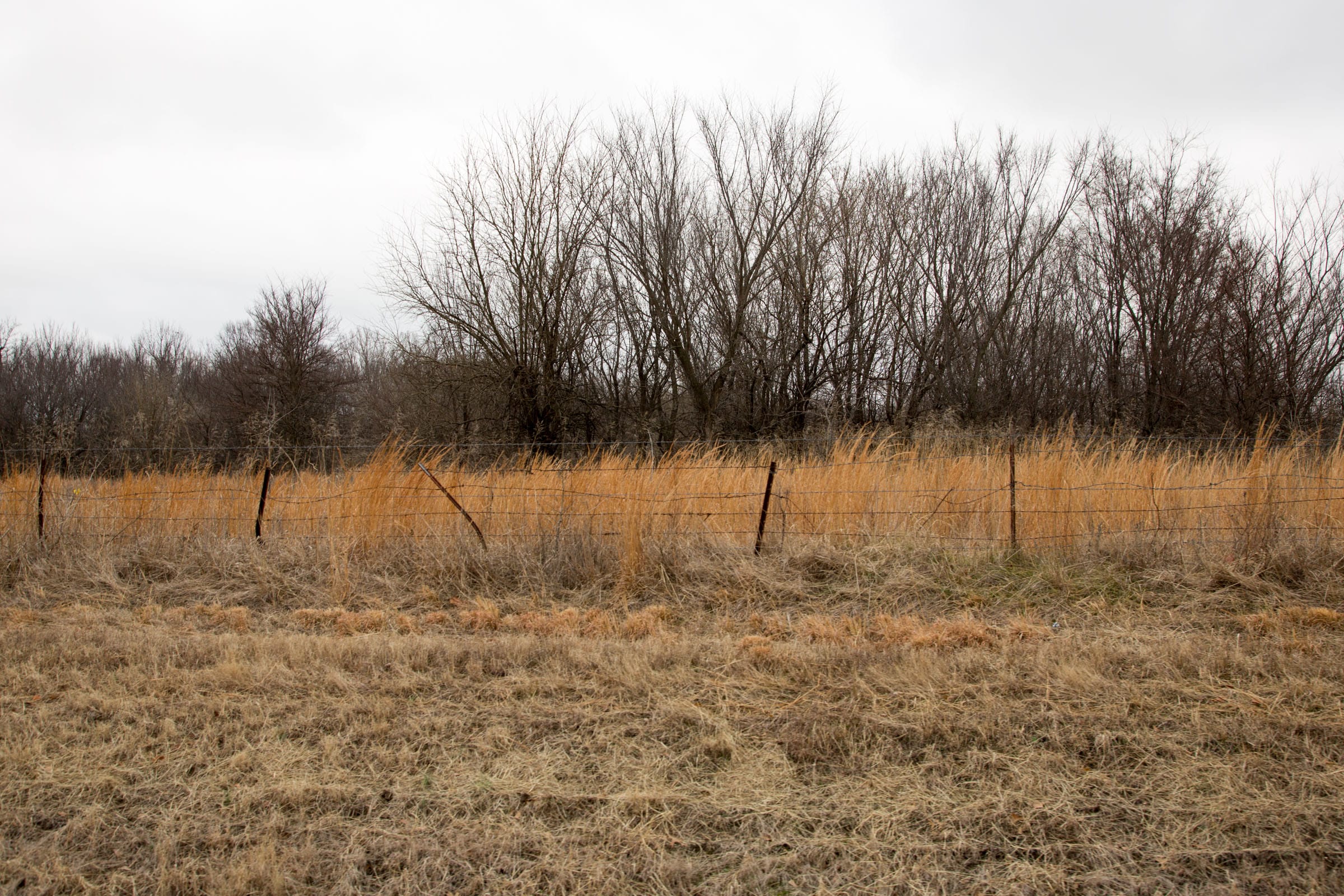 Canadian Plains Tract 1 photo 4