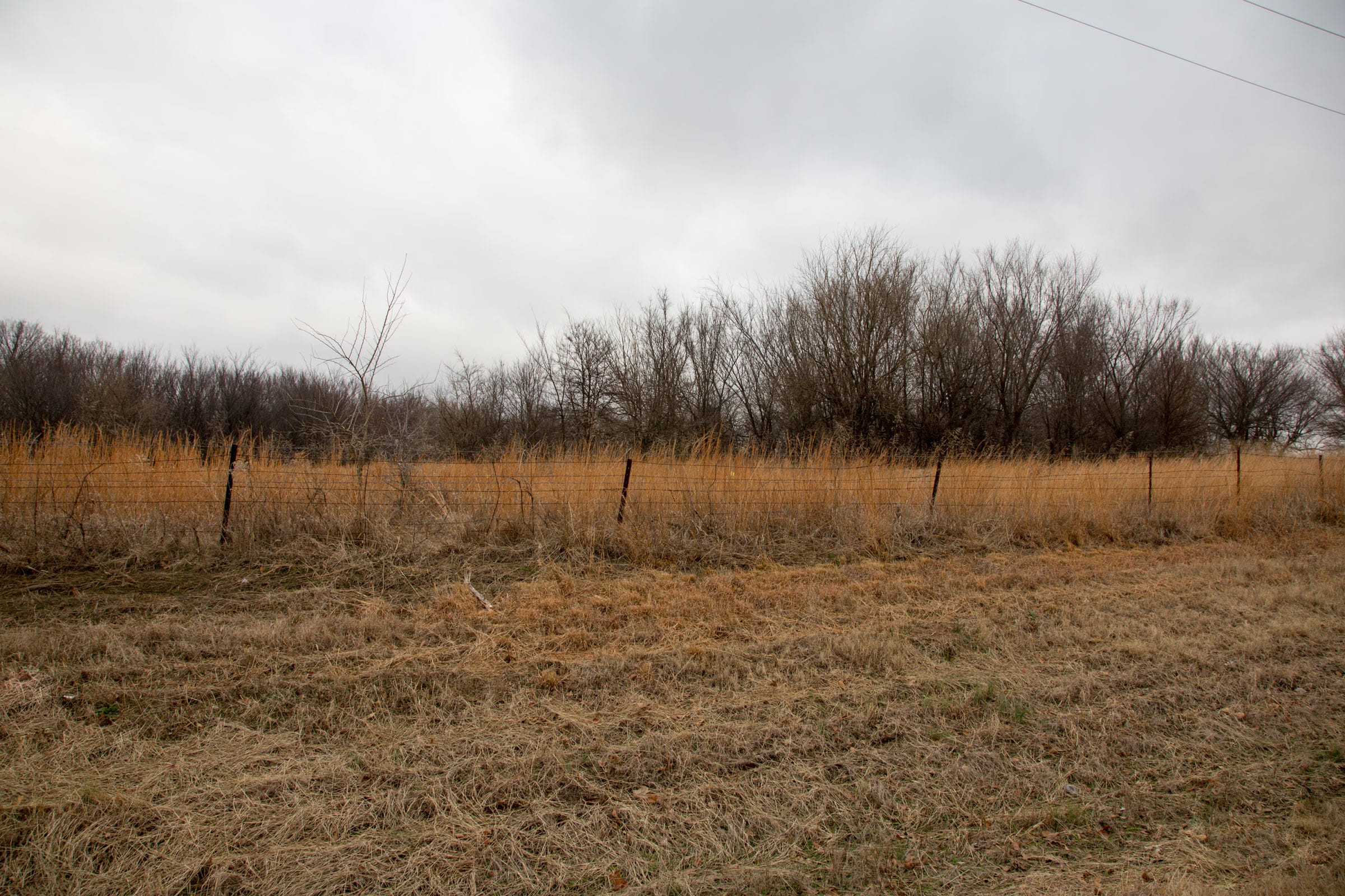 Canadian Plains Tract 1 photo 6