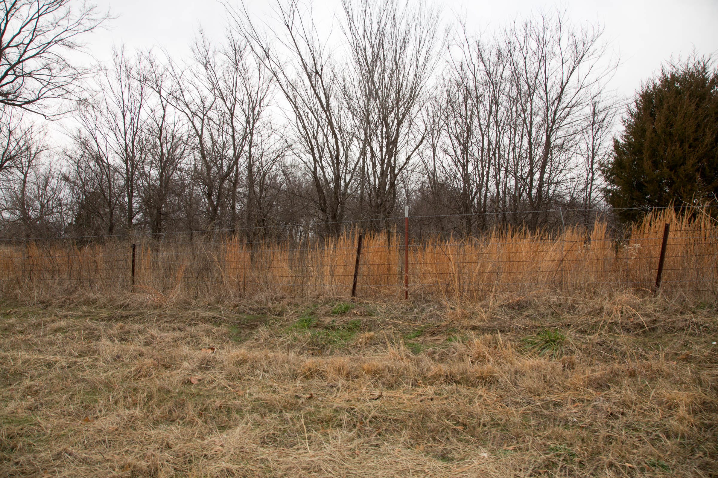 Canadian Plains Tract 1 photo 8