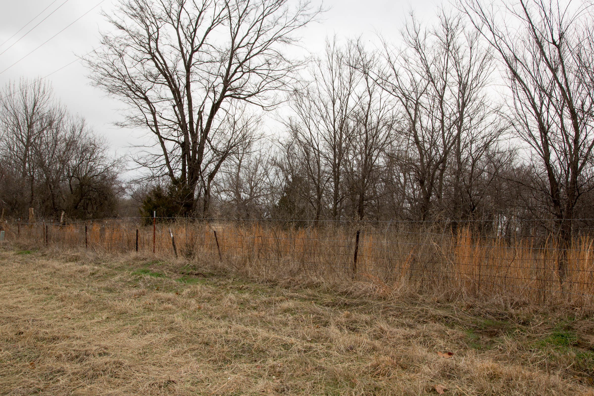 Canadian Plains Tract 1 photo 9