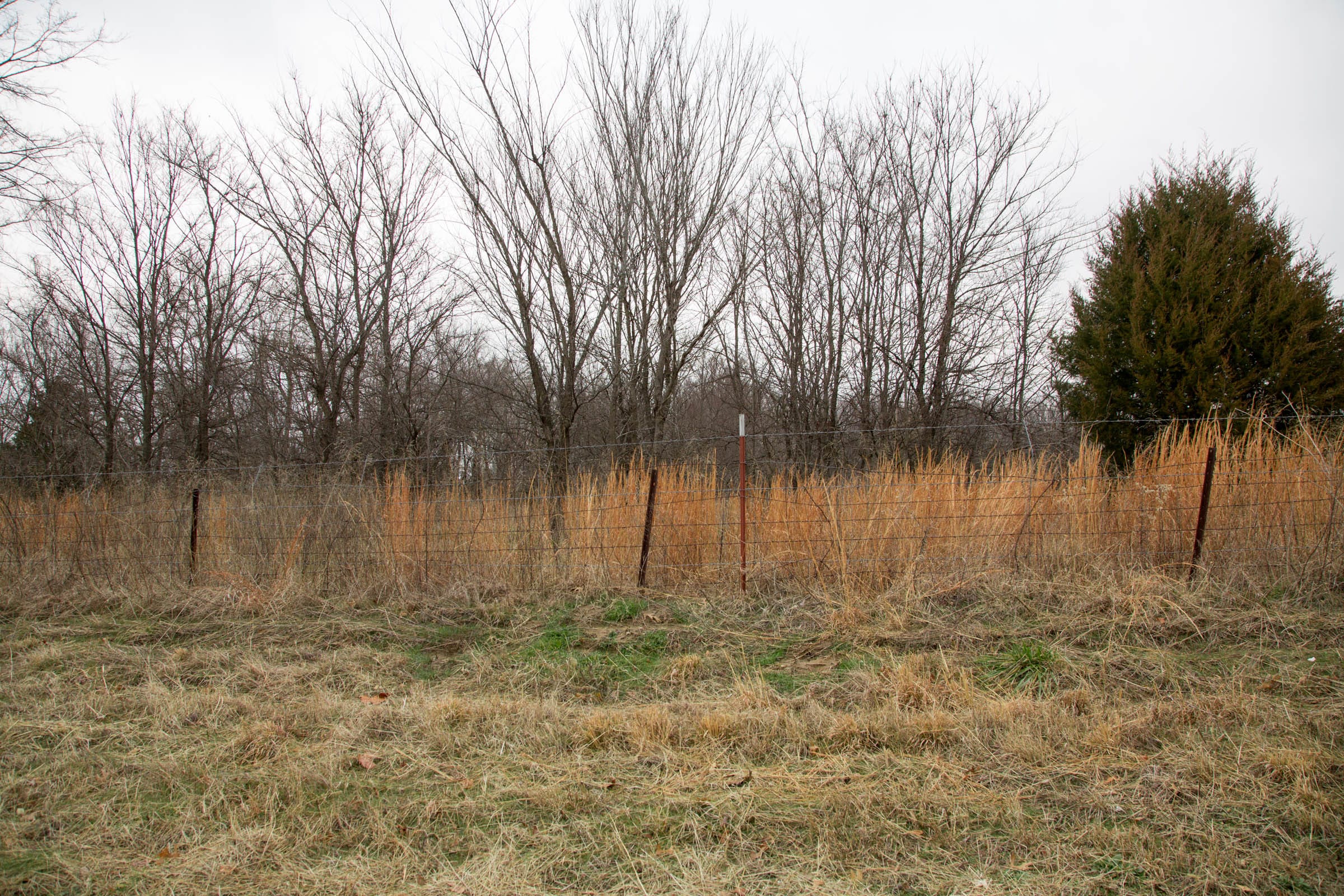 Canadian Plains Tract 1 photo 10