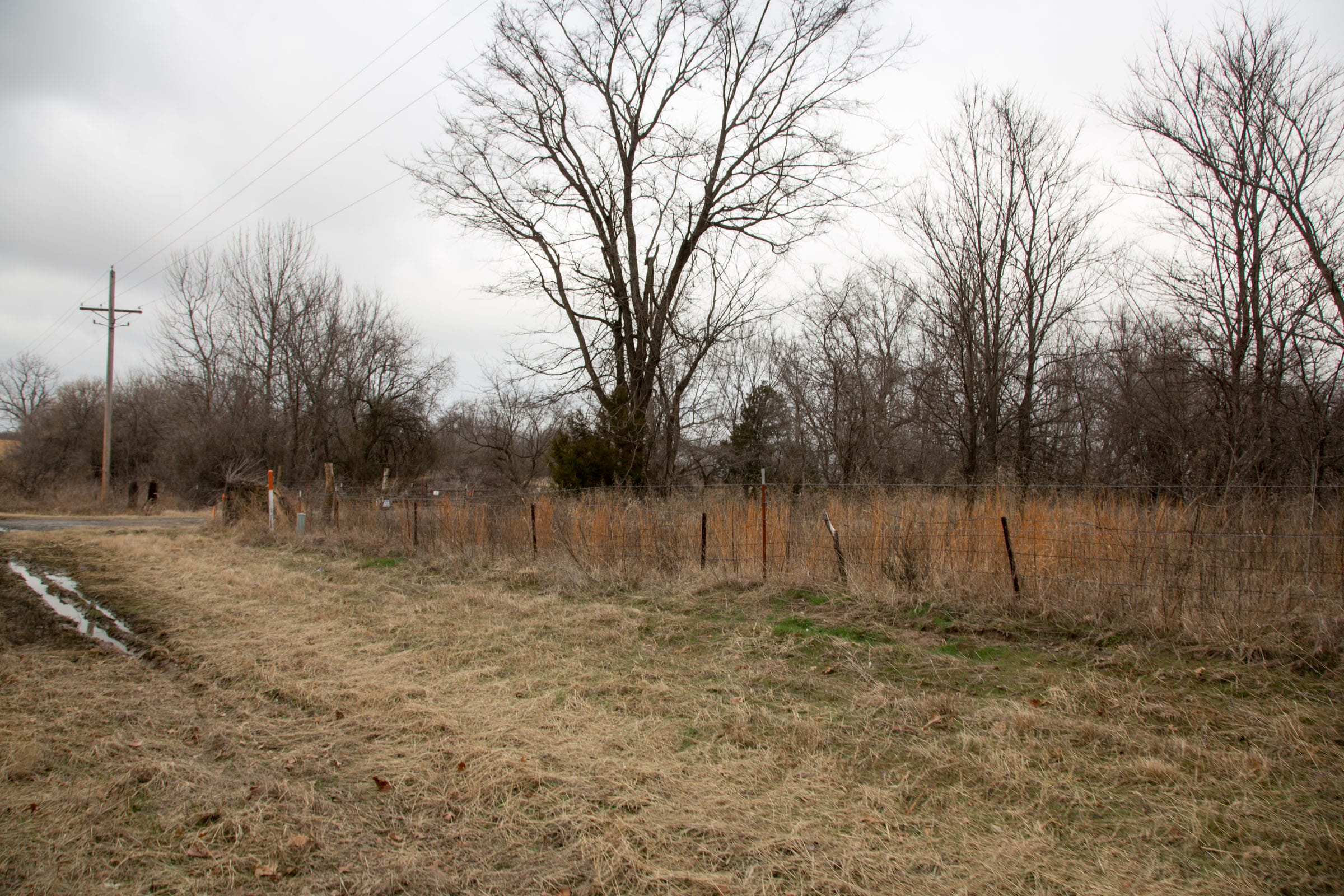 Canadian Plains Tract 1 photo 11