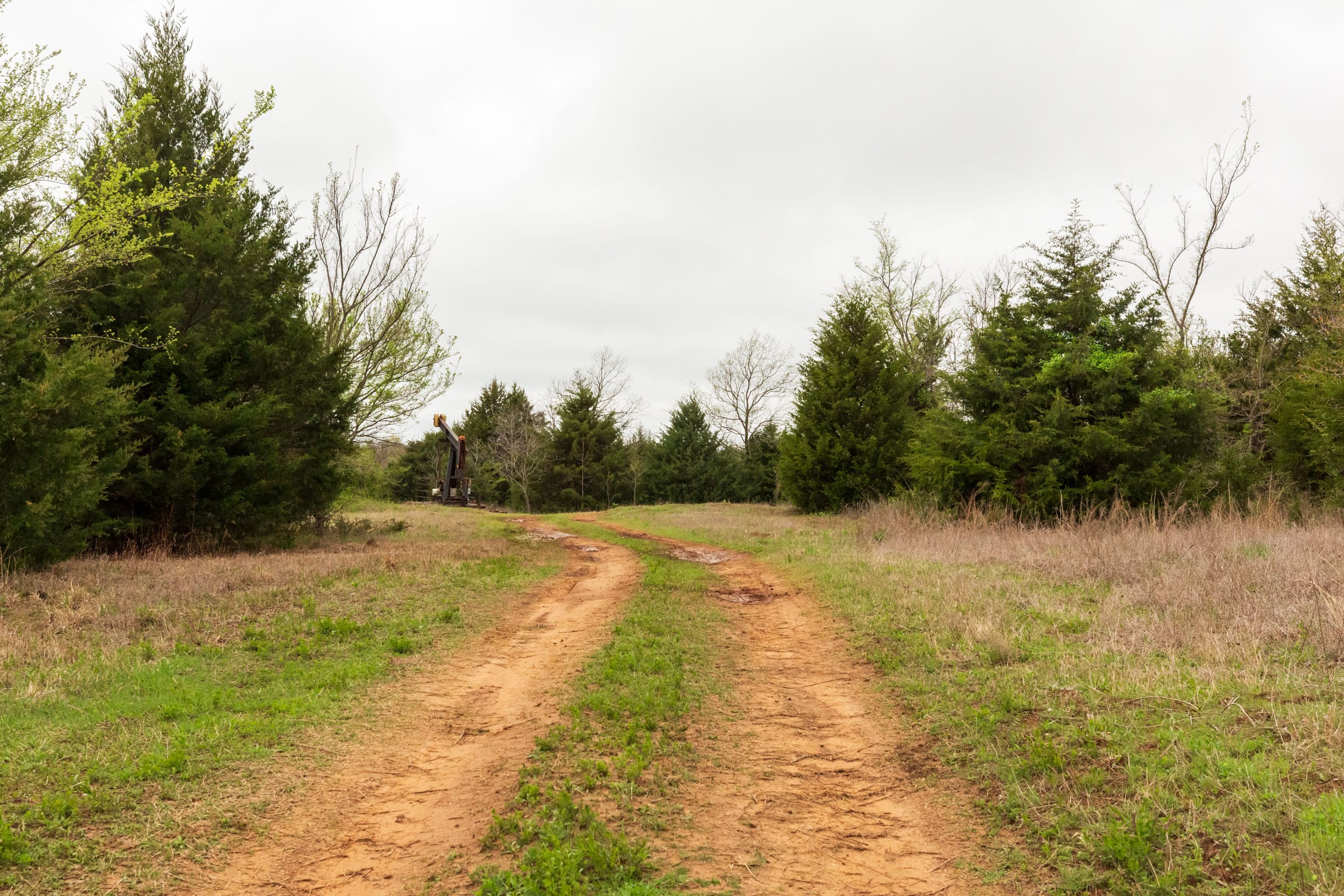Moonrise Meadows Tract 6 photo 1