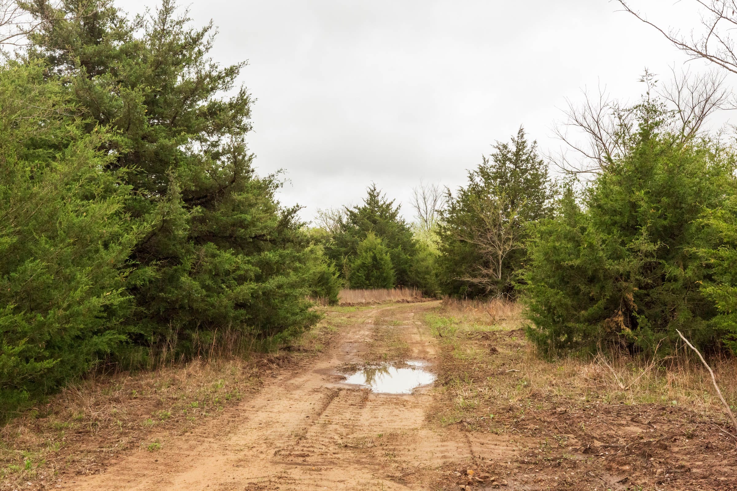 Moonrise Meadows Tract 6 photo 13