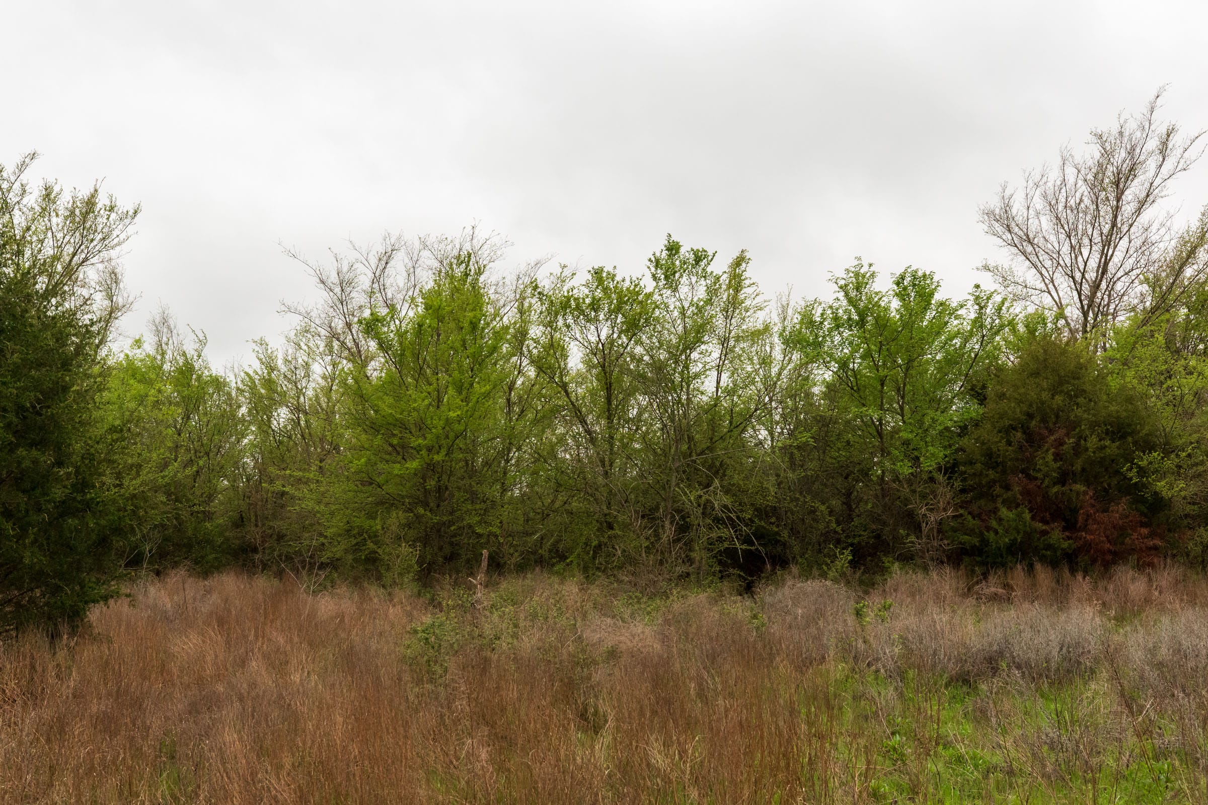 Moonrise Meadows Tract 6 photo 15