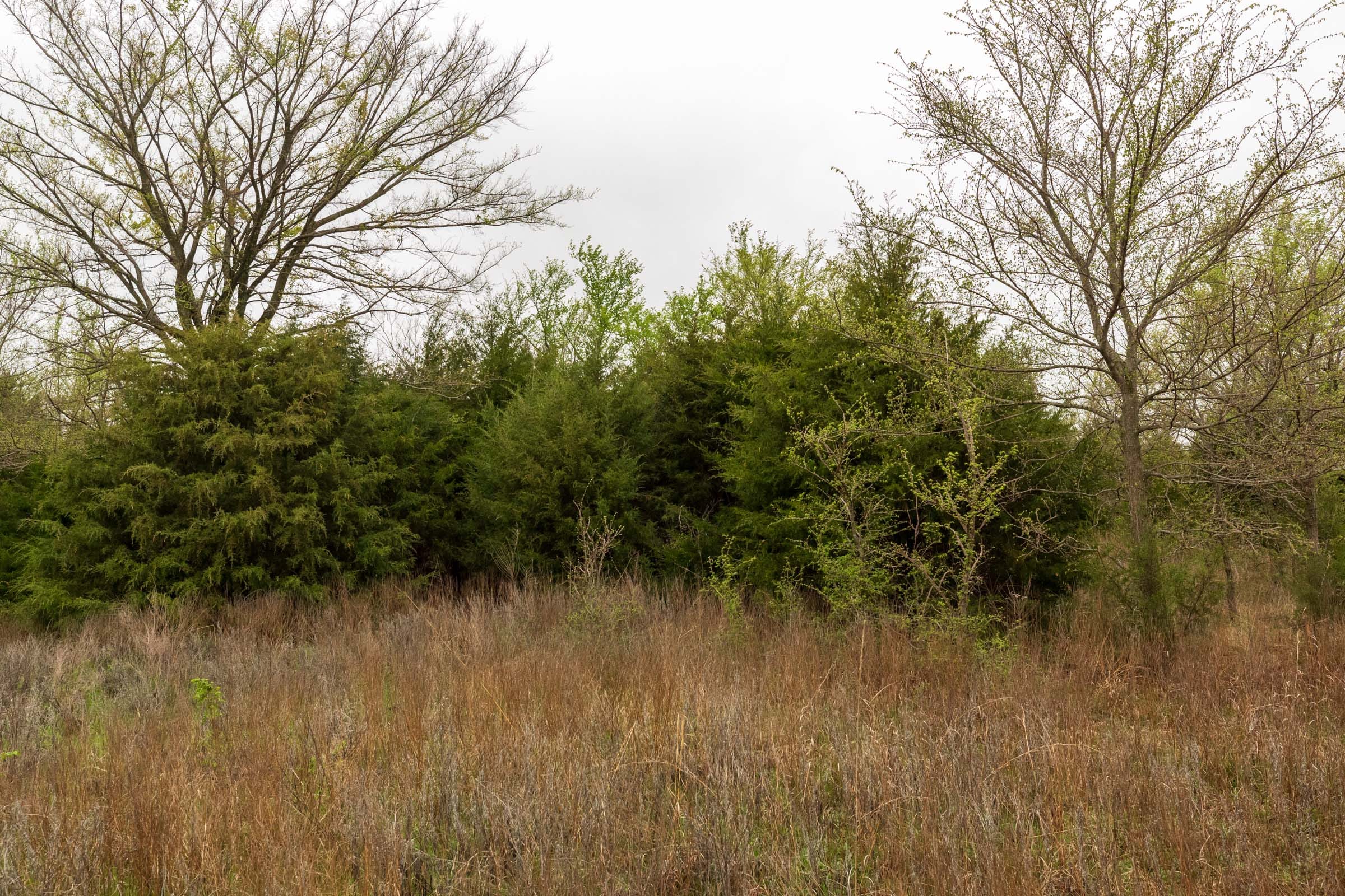 Moonrise Meadows Tract 6 photo 18