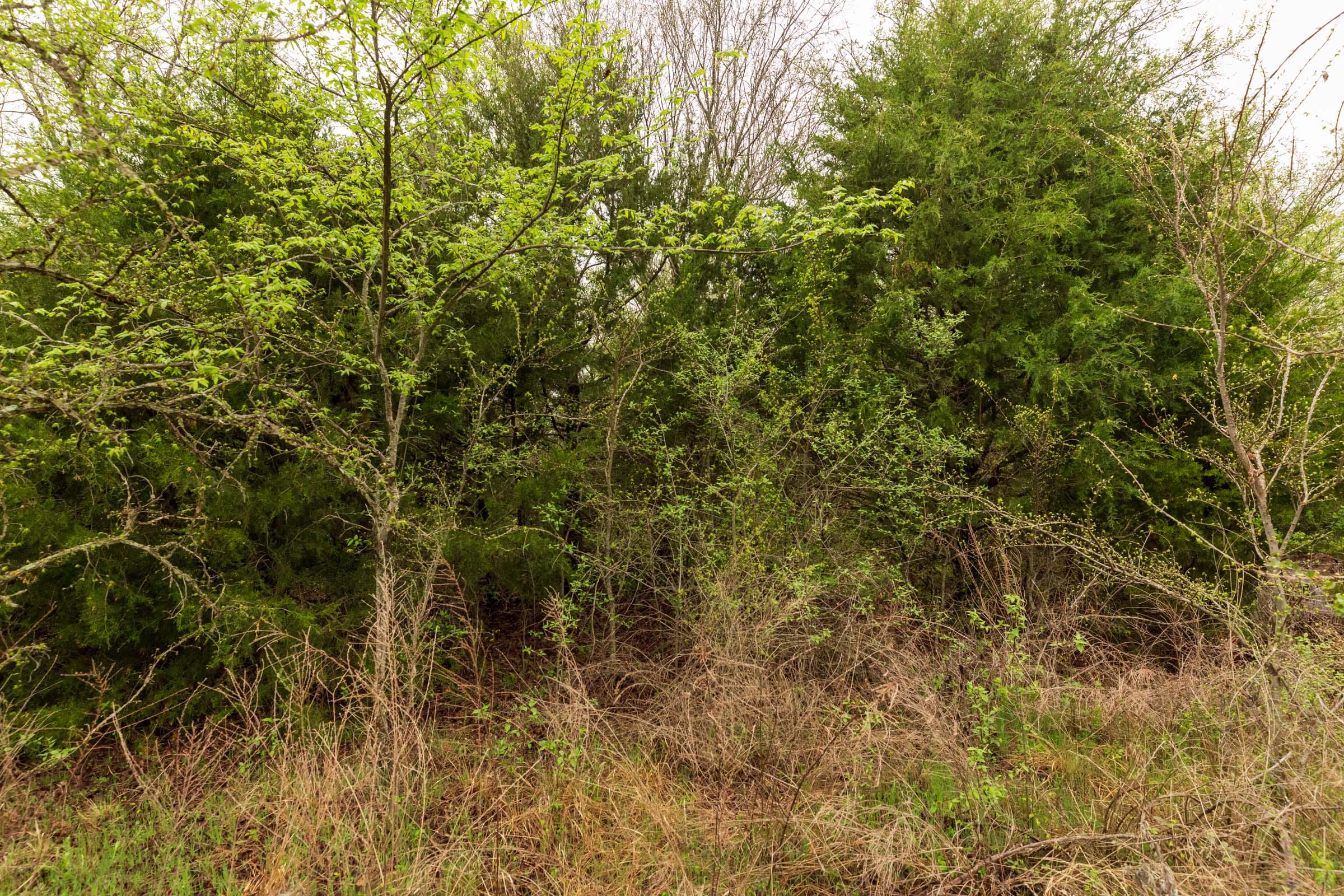 Moonrise Meadows Tract 6 photo 19
