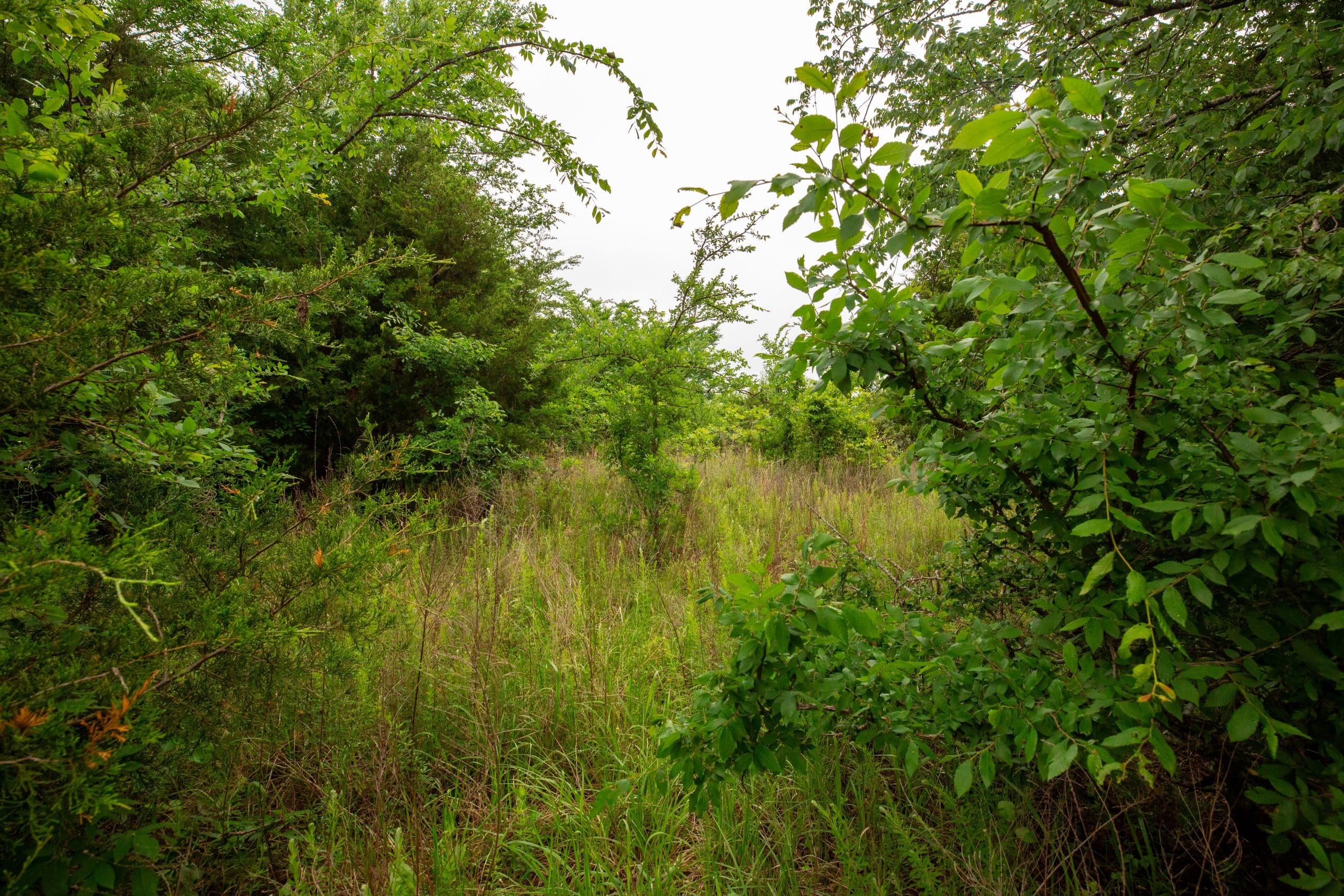 Moonrise Meadows Tract 6 photo 3