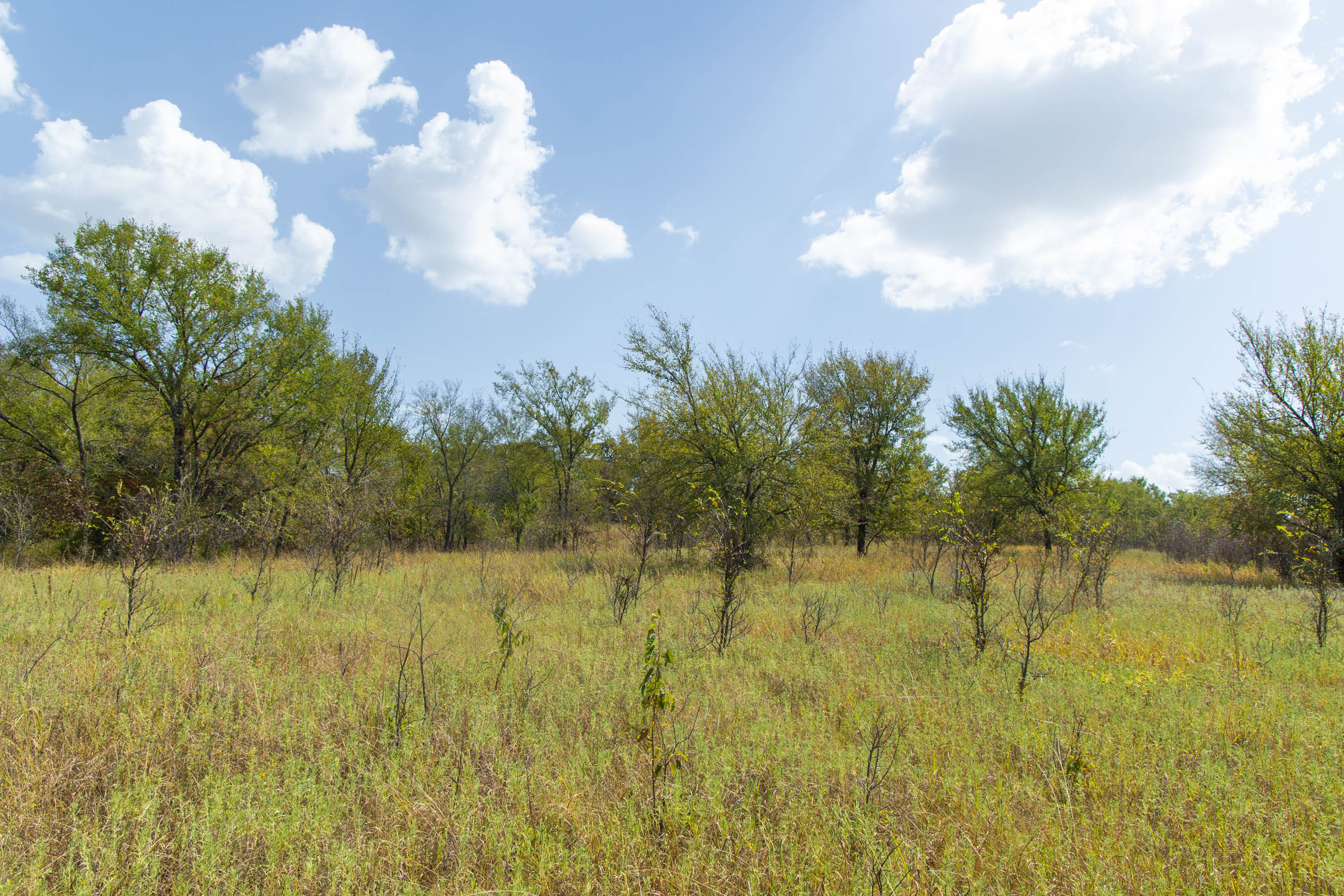 Gracyn Meadows Tract 18 photo 13