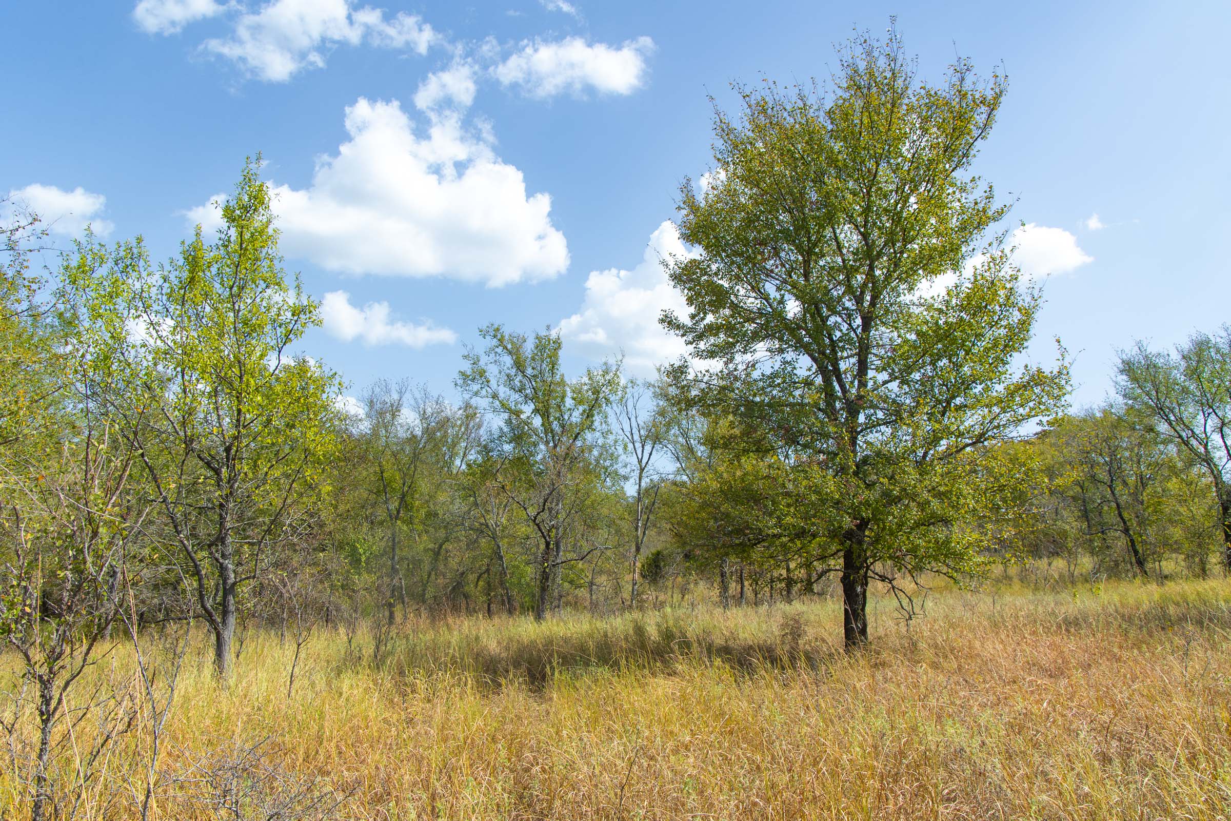 Gracyn Meadows Tract 18 photo 10