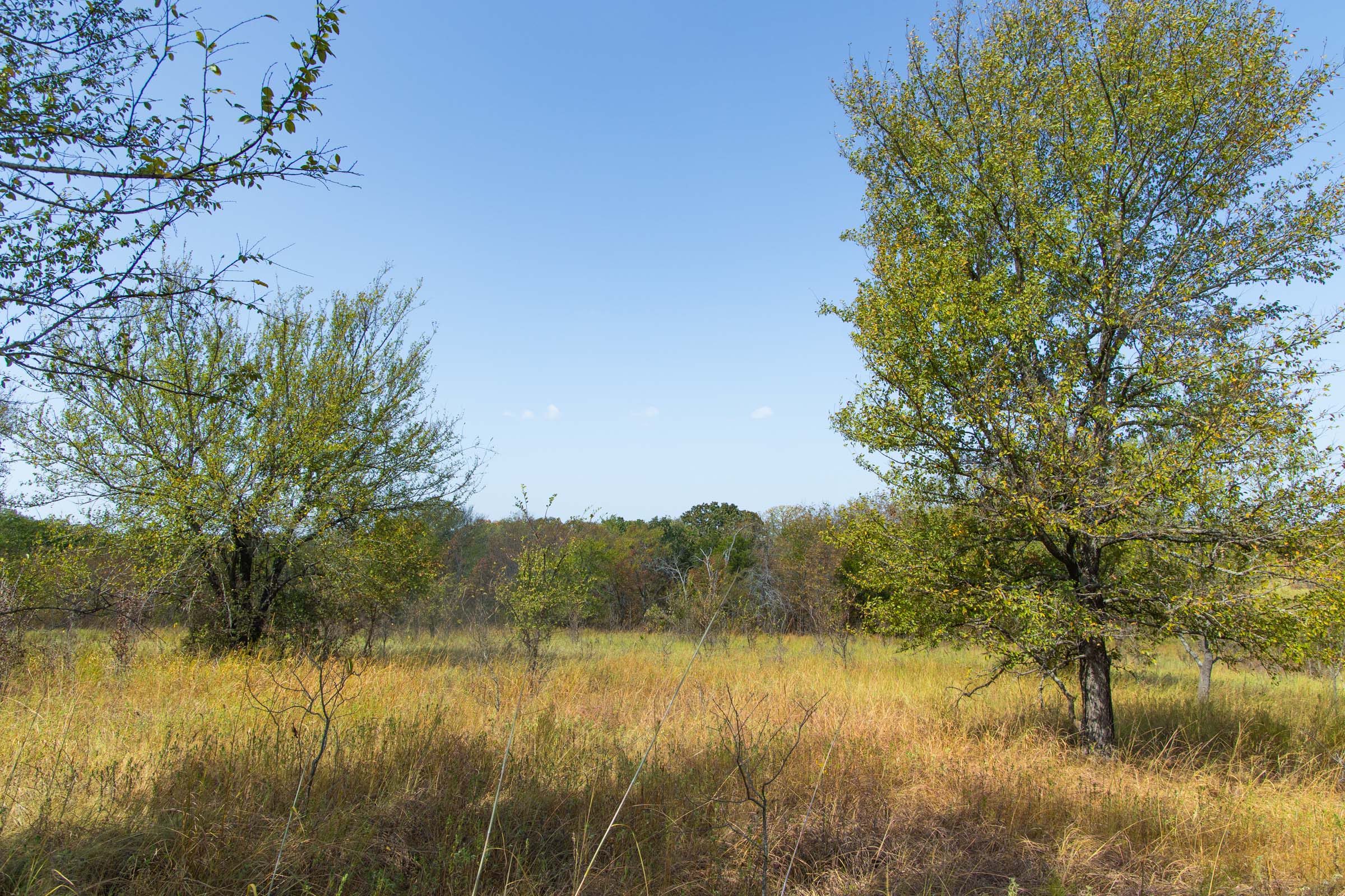 Gracyn Meadows Tract 18 photo 5