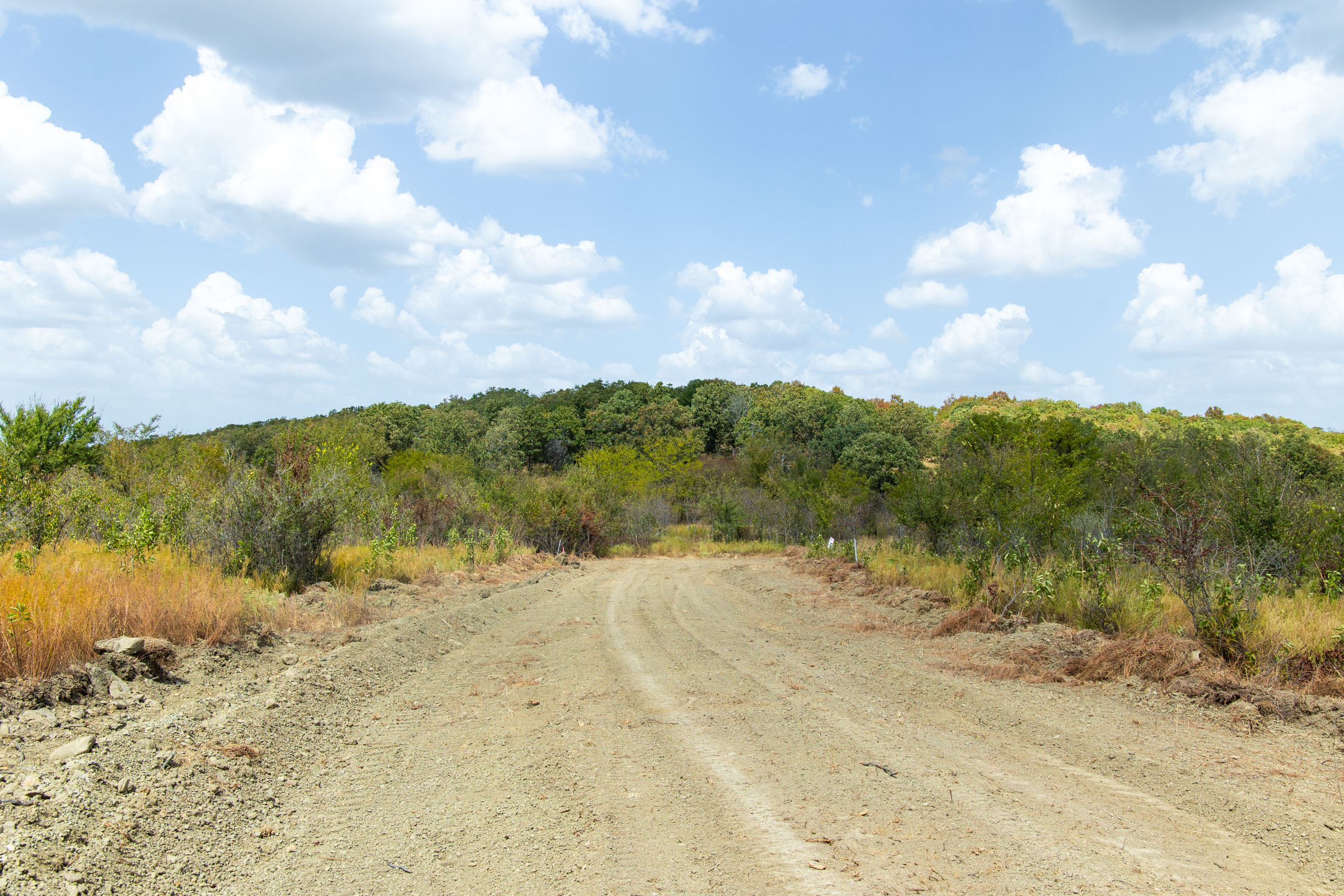 Gracyn Meadows Tract 18 photo 14