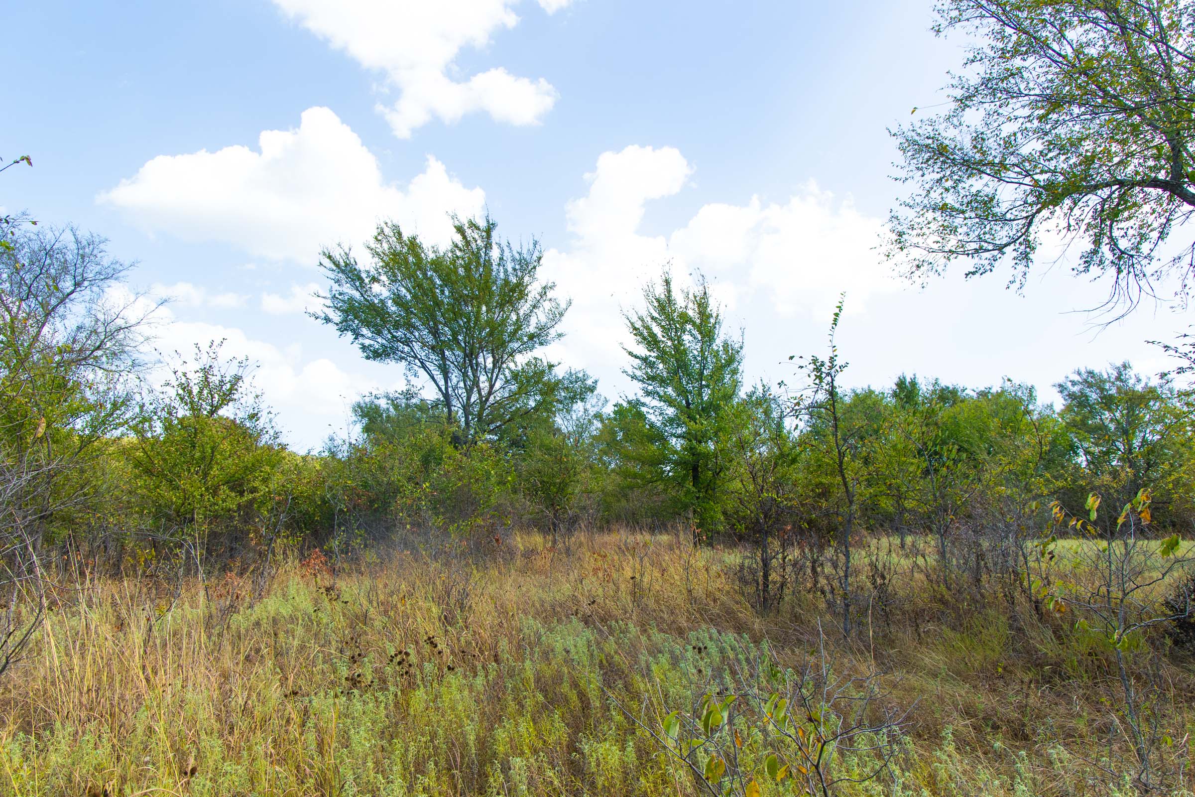 Gracyn Meadows Tract 18 photo 9