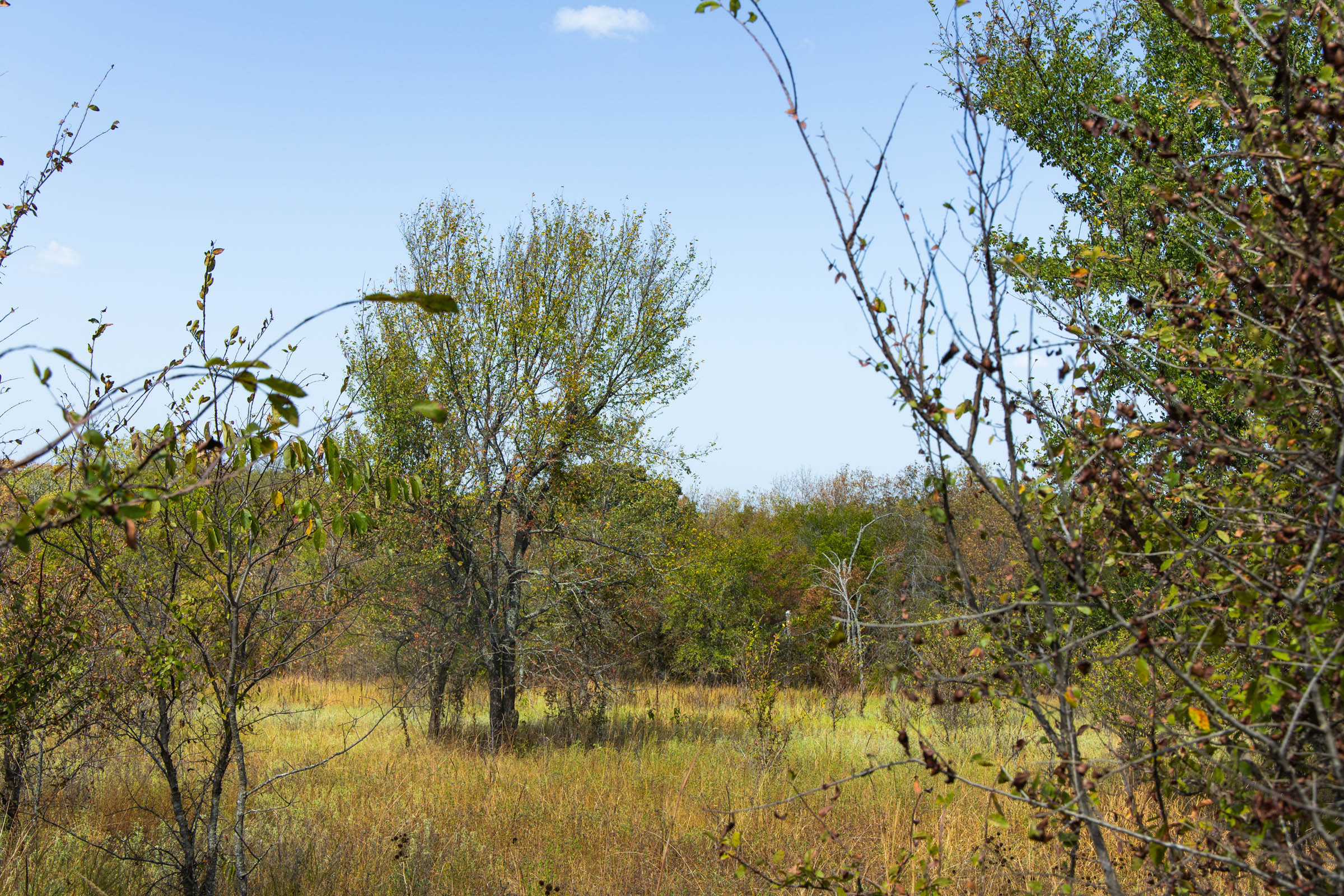 Gracyn Meadows Tract 18 photo 1