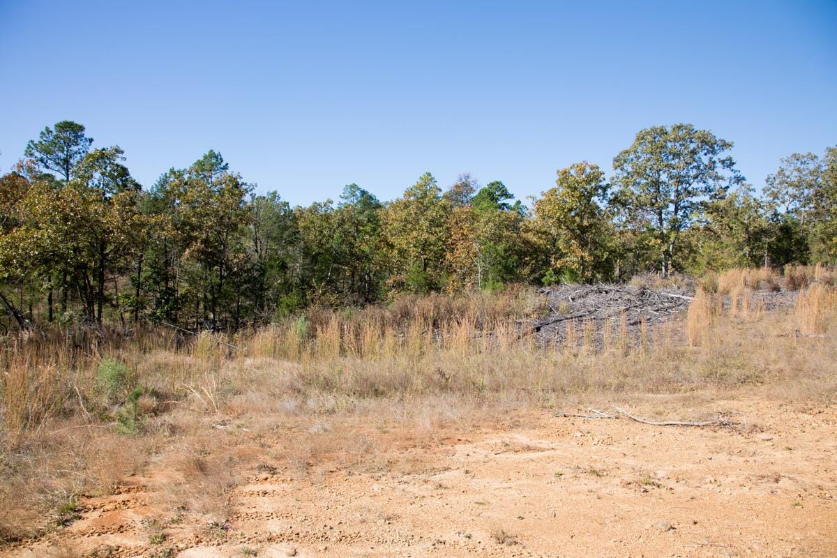Stone Creek Phase I Tract 170 photo 3