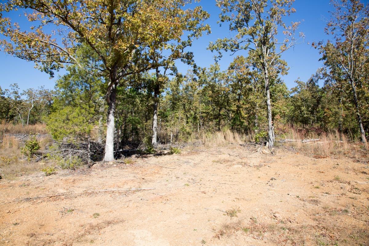 Stone Creek Phase I Tract 170 photo 5