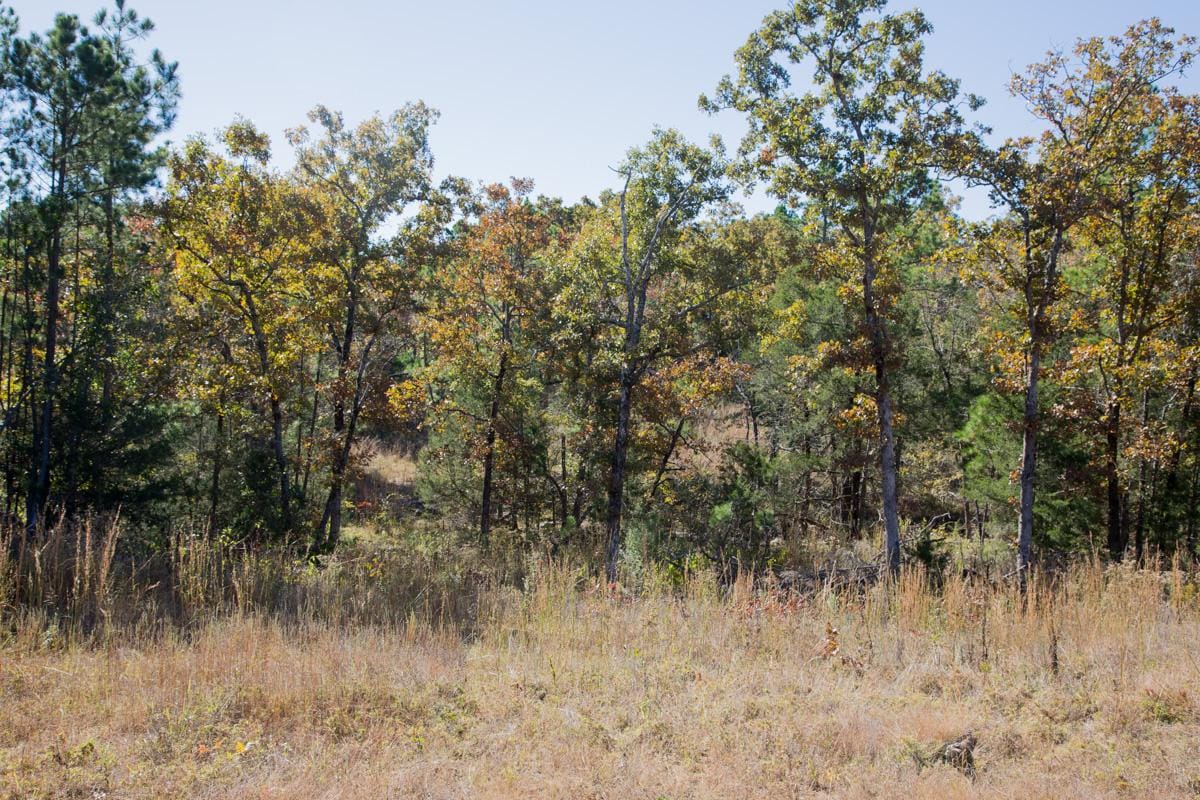 Stone Creek Phase I Tract 170 photo 2