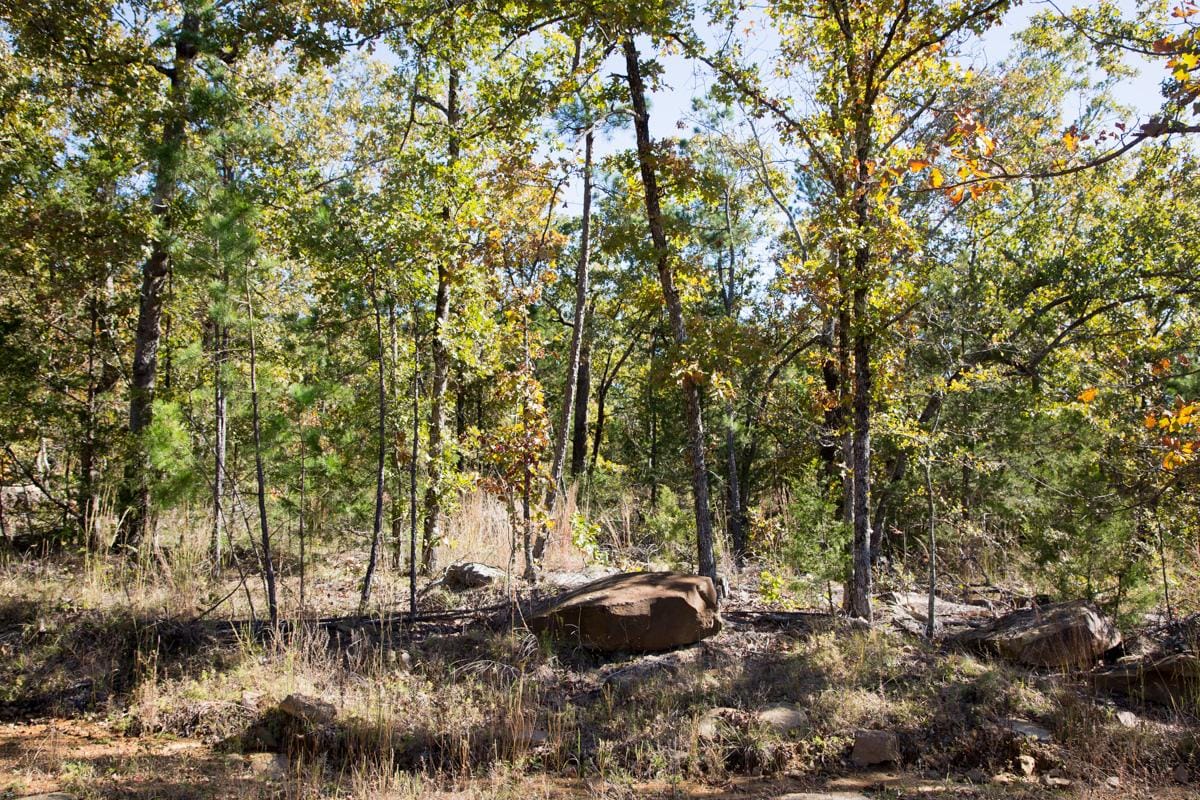 Stone Creek Phase I Tract 170 photo 6