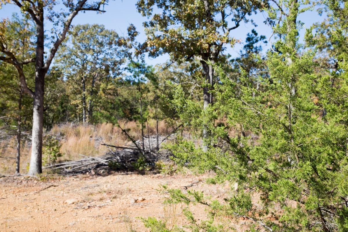 Stone Creek Phase I Tract 170 photo 7