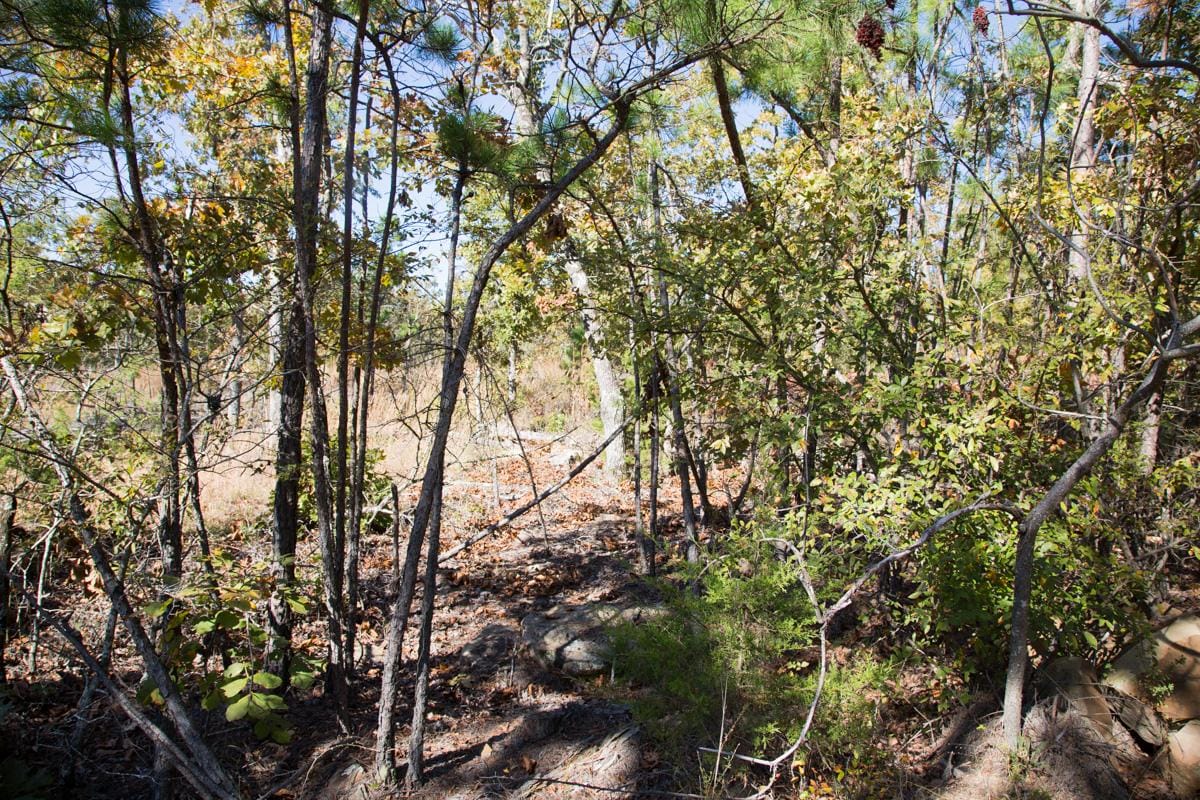 Stone Creek Phase I Tract 170 photo 11