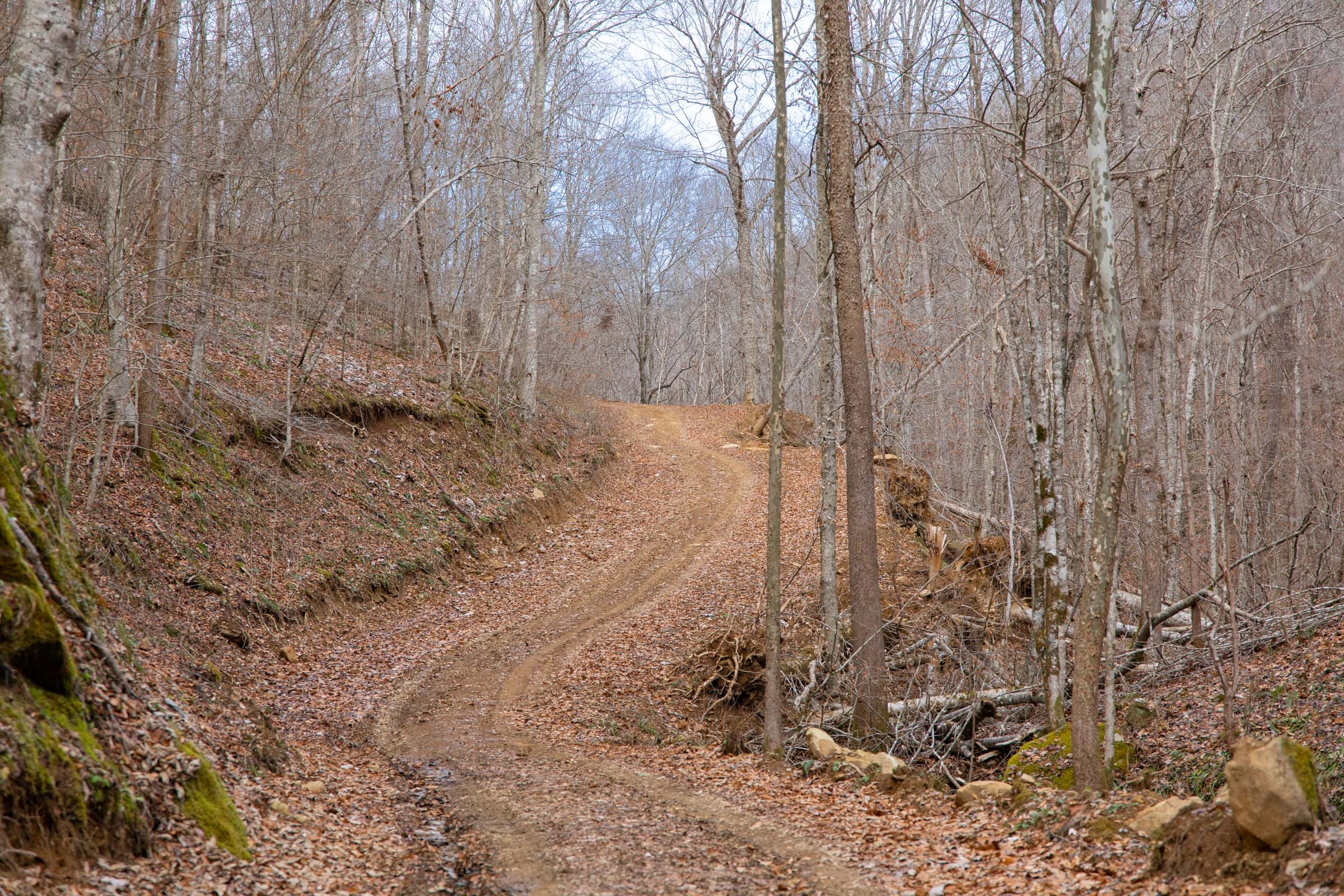 Blackstone Mountain Phase I Tract 38 photo 8